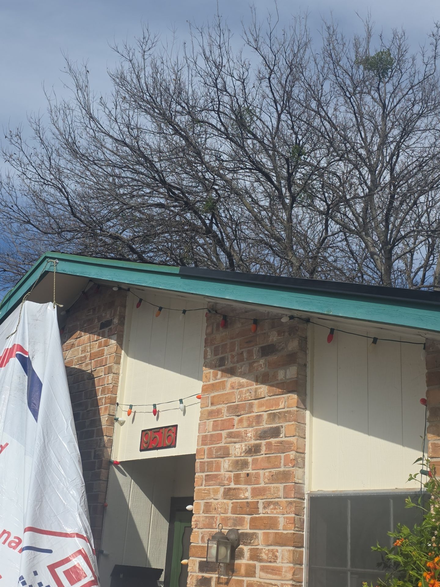 [Almost] All Trades by REPS OF TEXAS