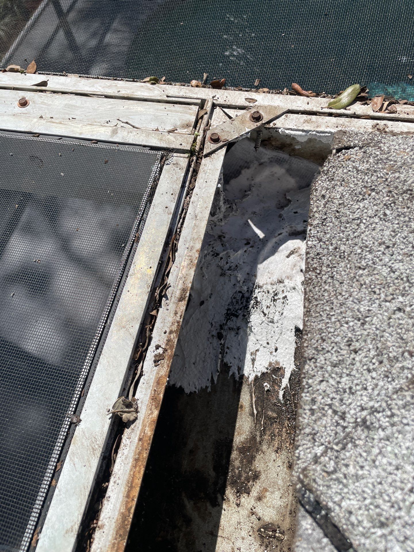 Gutter Cleaning & Maintenance in Sarasota FL by Gutter Professor by Gutter Professors