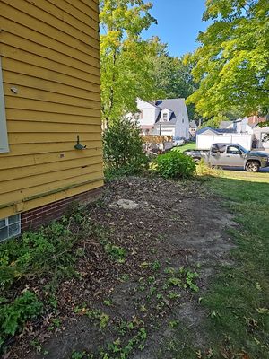 Tree Removal using Tree Removal