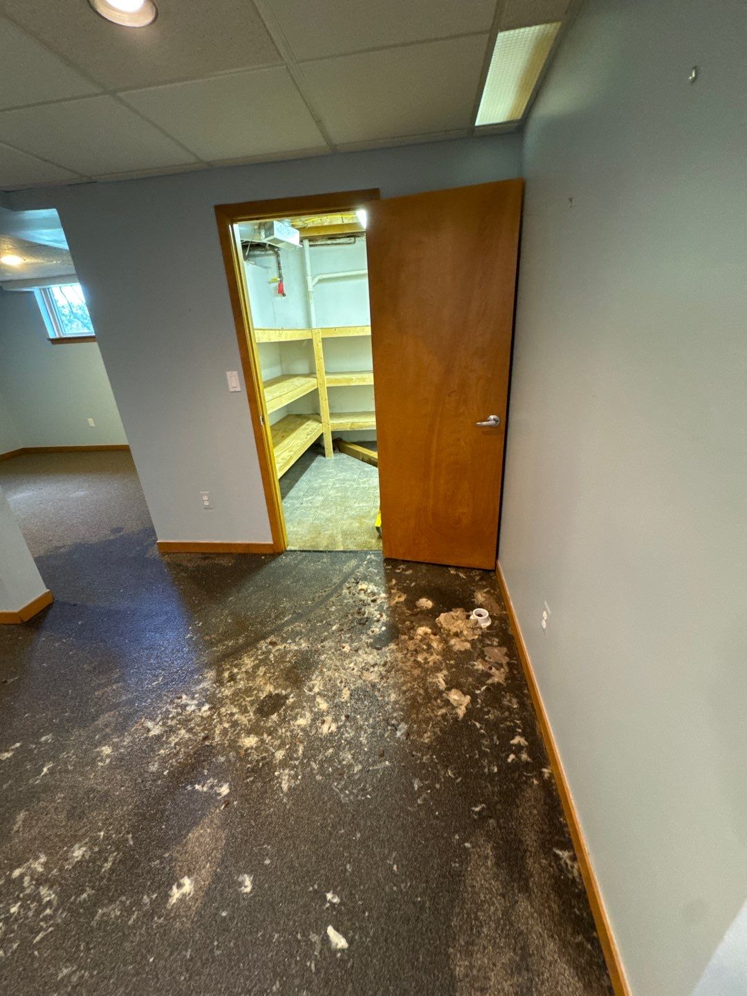 Project in West Bloomfield by EzDry Water Mitigation & Property Restoration