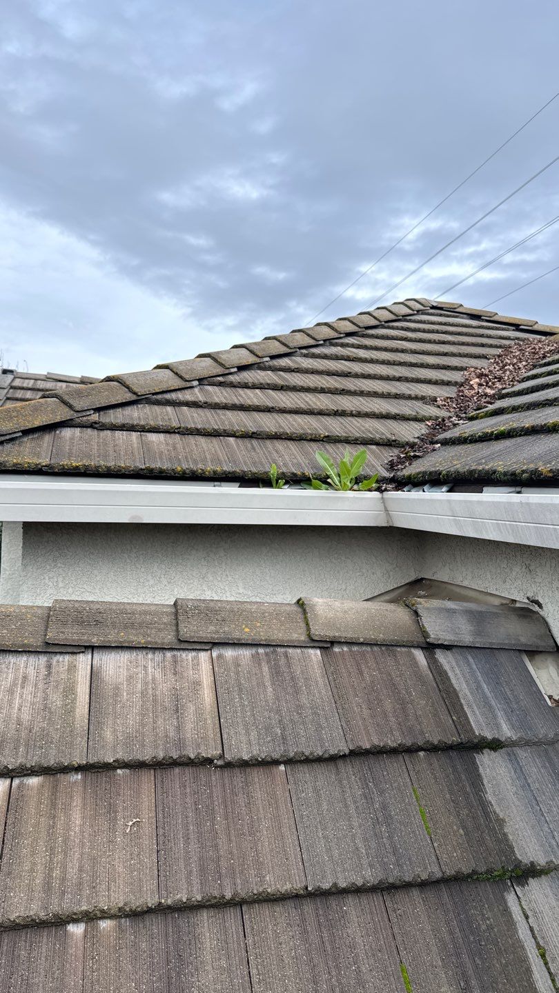 Project by NuLead Construction Inc by NuLead Construction Inc