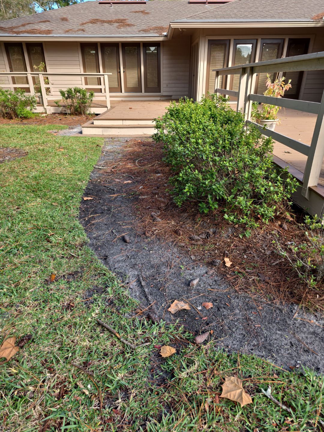 Deerwood Resident | Freshen Up Project by ProGreen Services