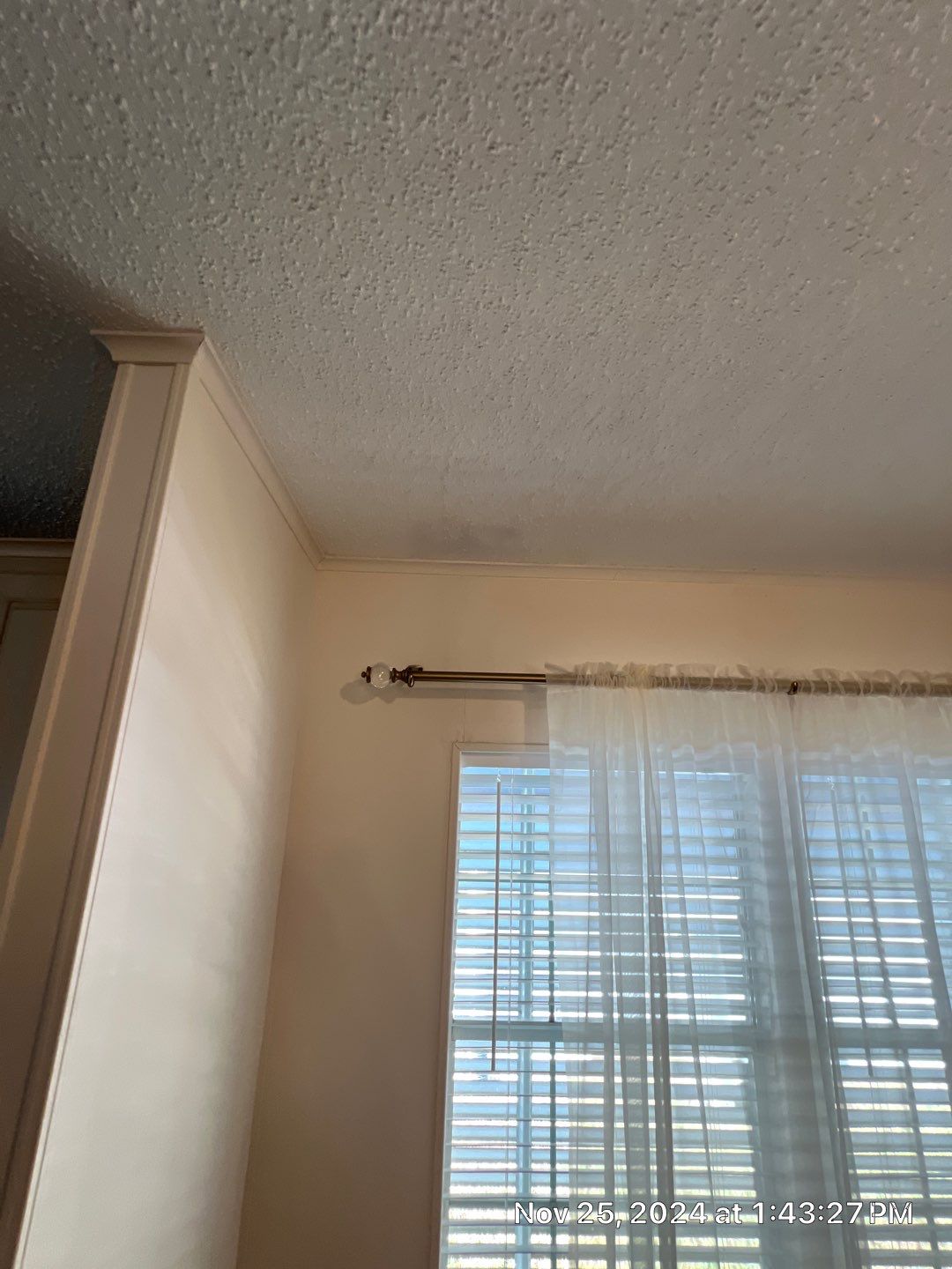 Mold Remediation Palmetto by Ampm Restoration Services 