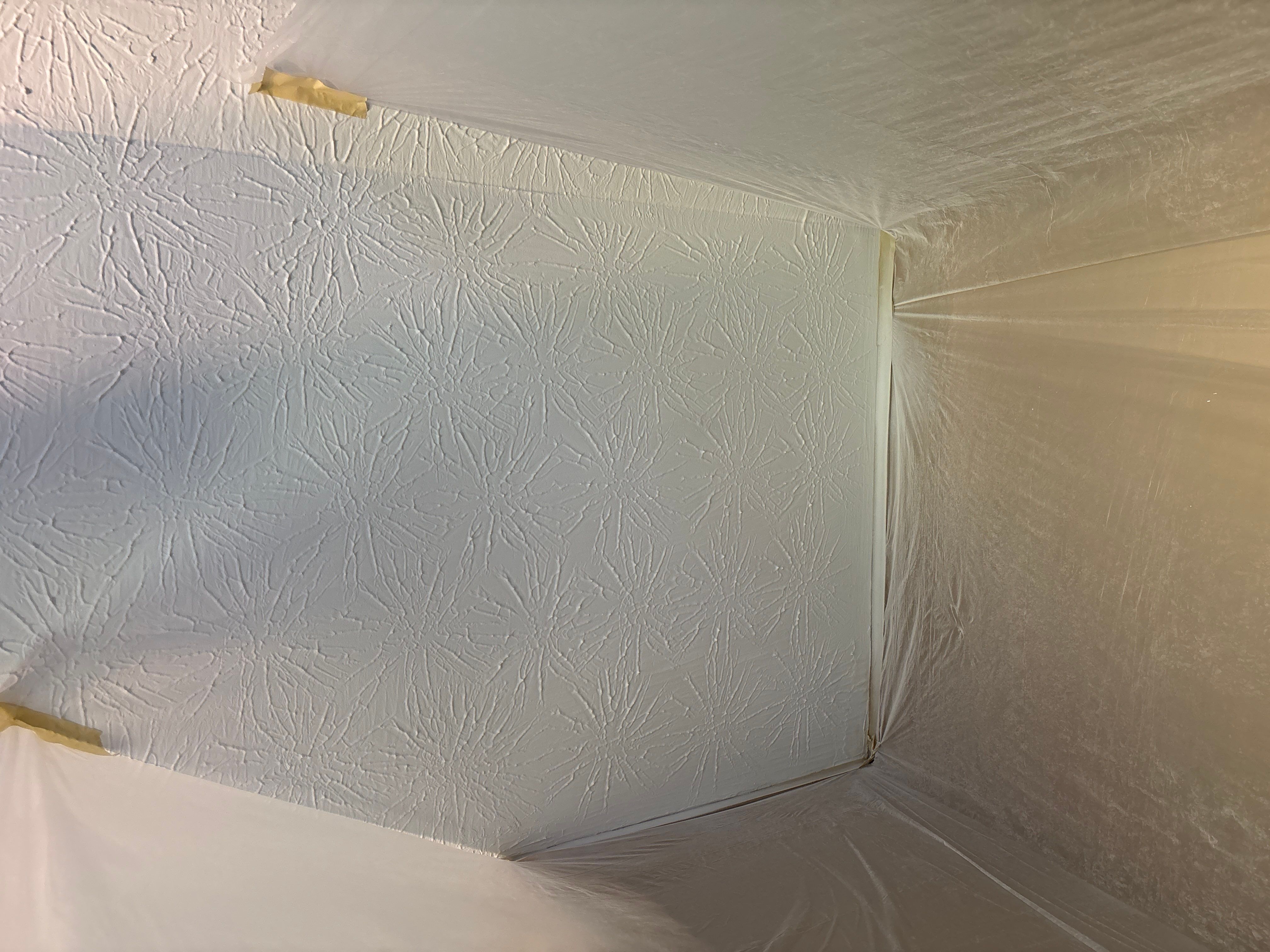 Roof repair and ceiling repair by Deerfield Roofing LLC