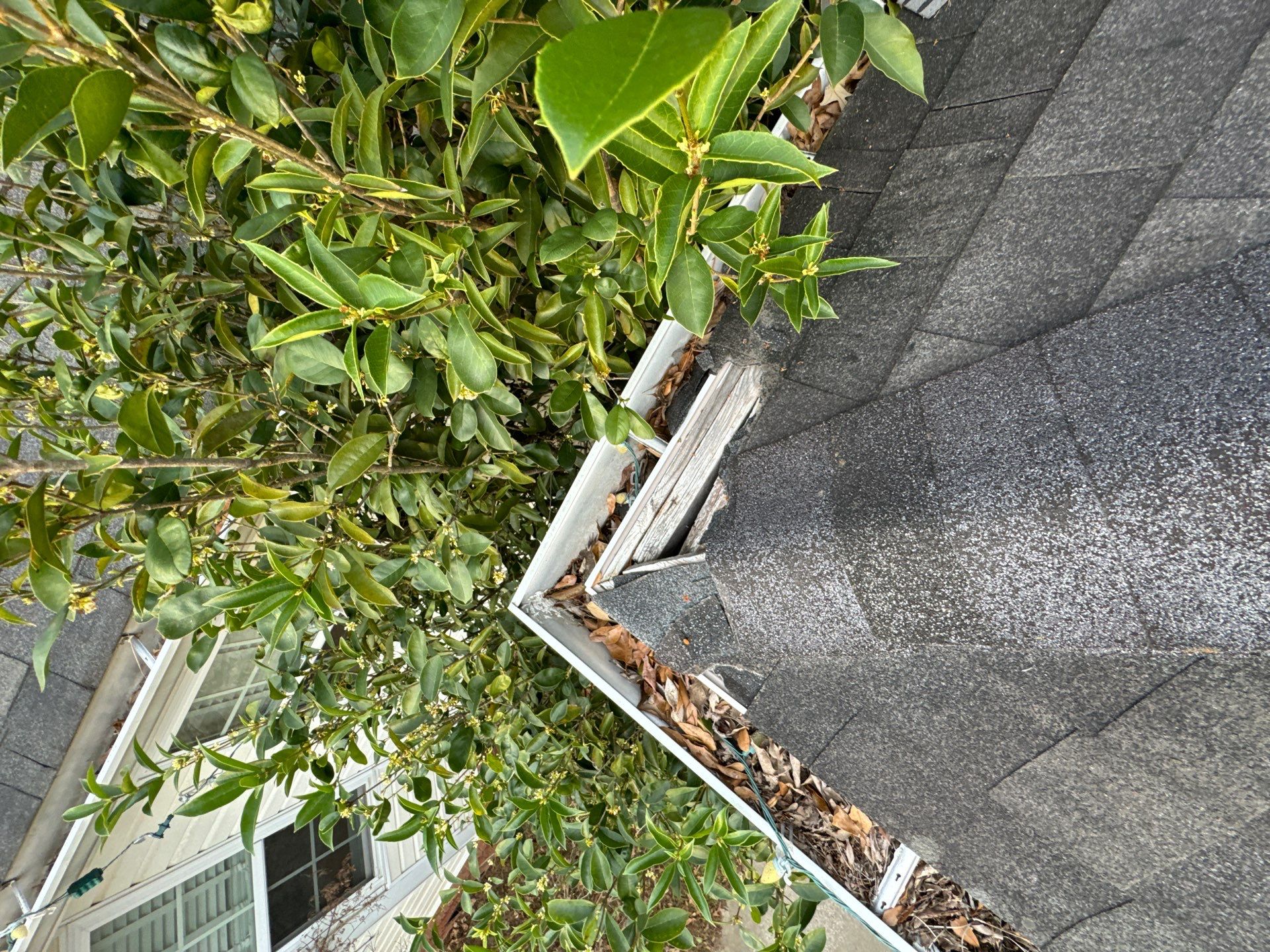 none by Emergency Roofing Solutions