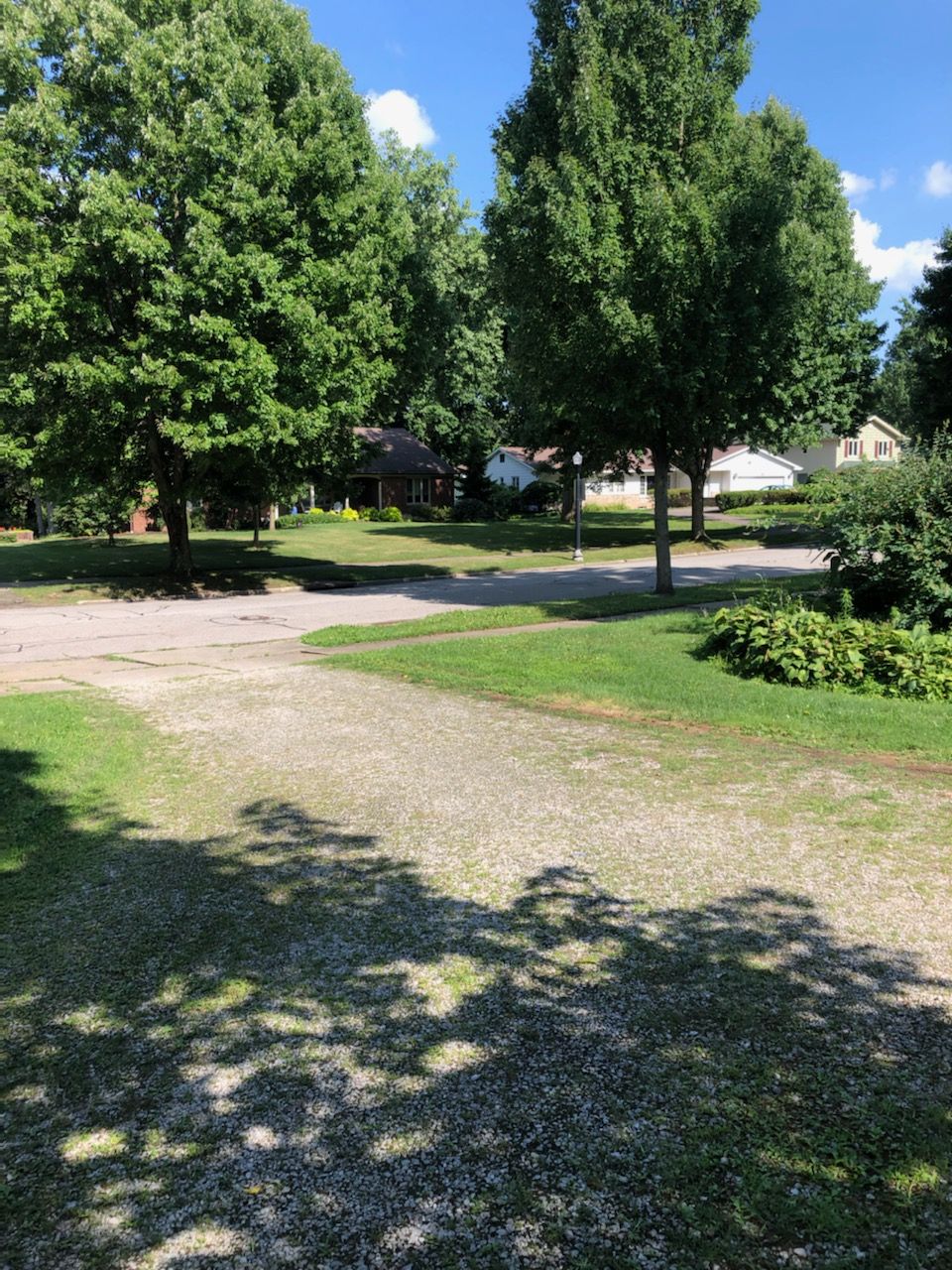 Tree Removal using Tree Removal by Mike Jones & Sons Tree Service LLC 