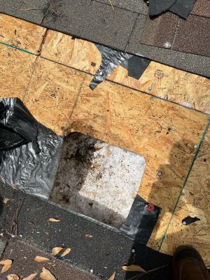 Roof Repair Spring
