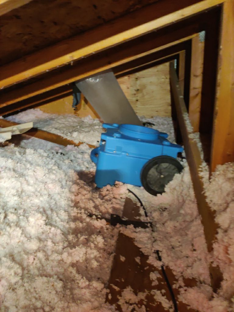Mold Remediation in Attic by Accountable Home Services
