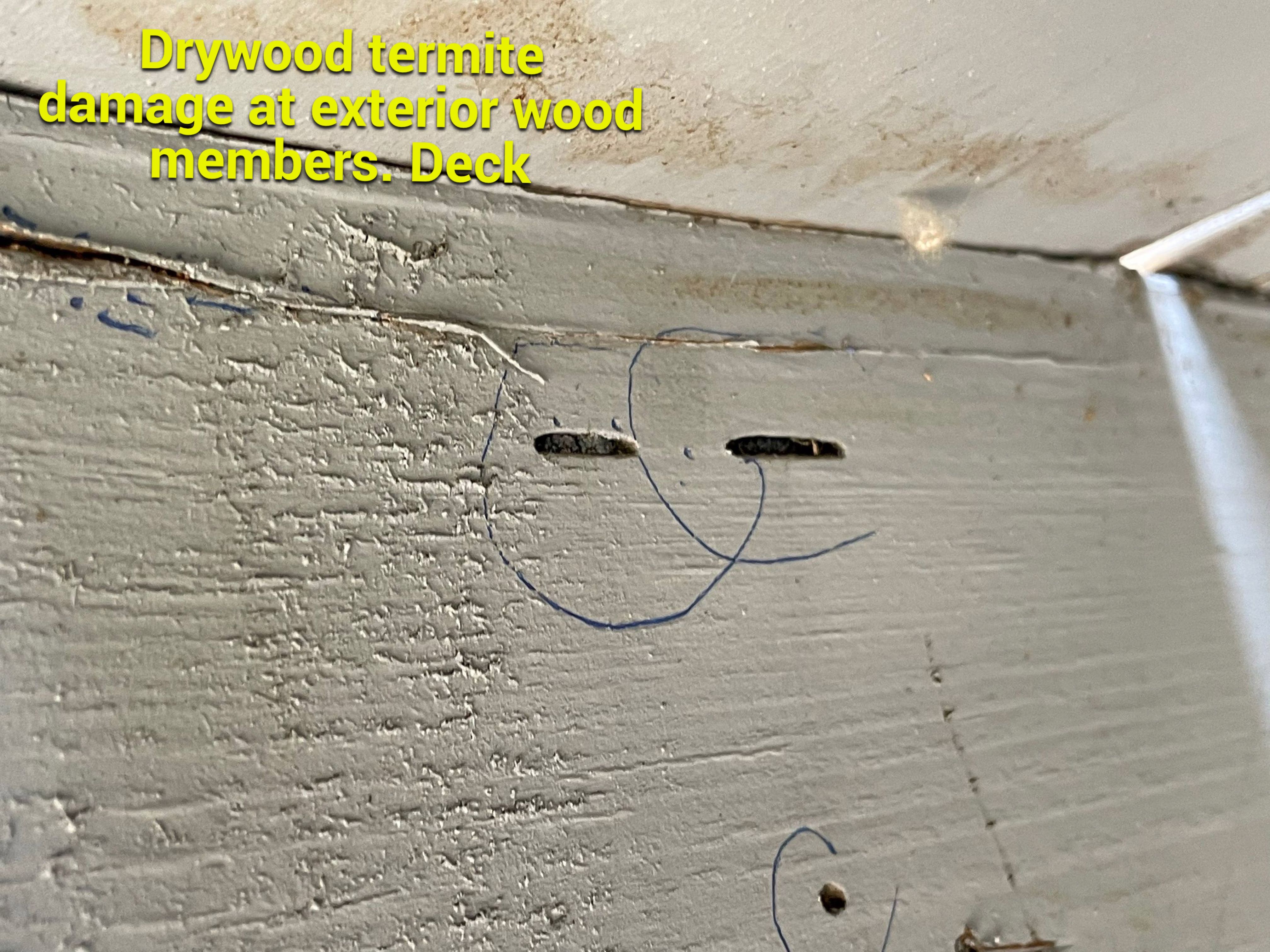 Wood Destroying Organisms Report by GLOBAL Termite Solutions