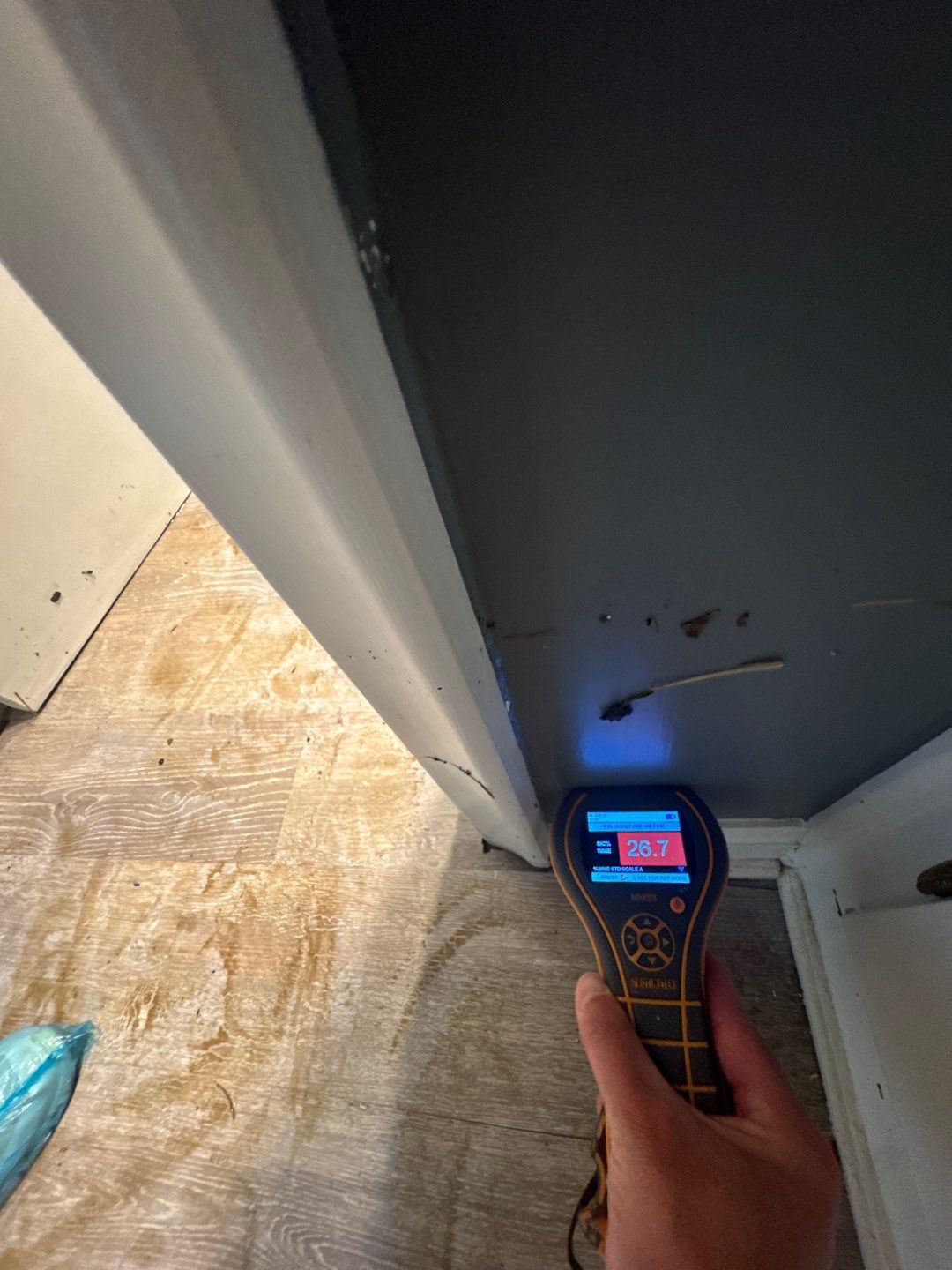 Project in Beverly Hills by EzDry Water Mitigation & Property Restoration