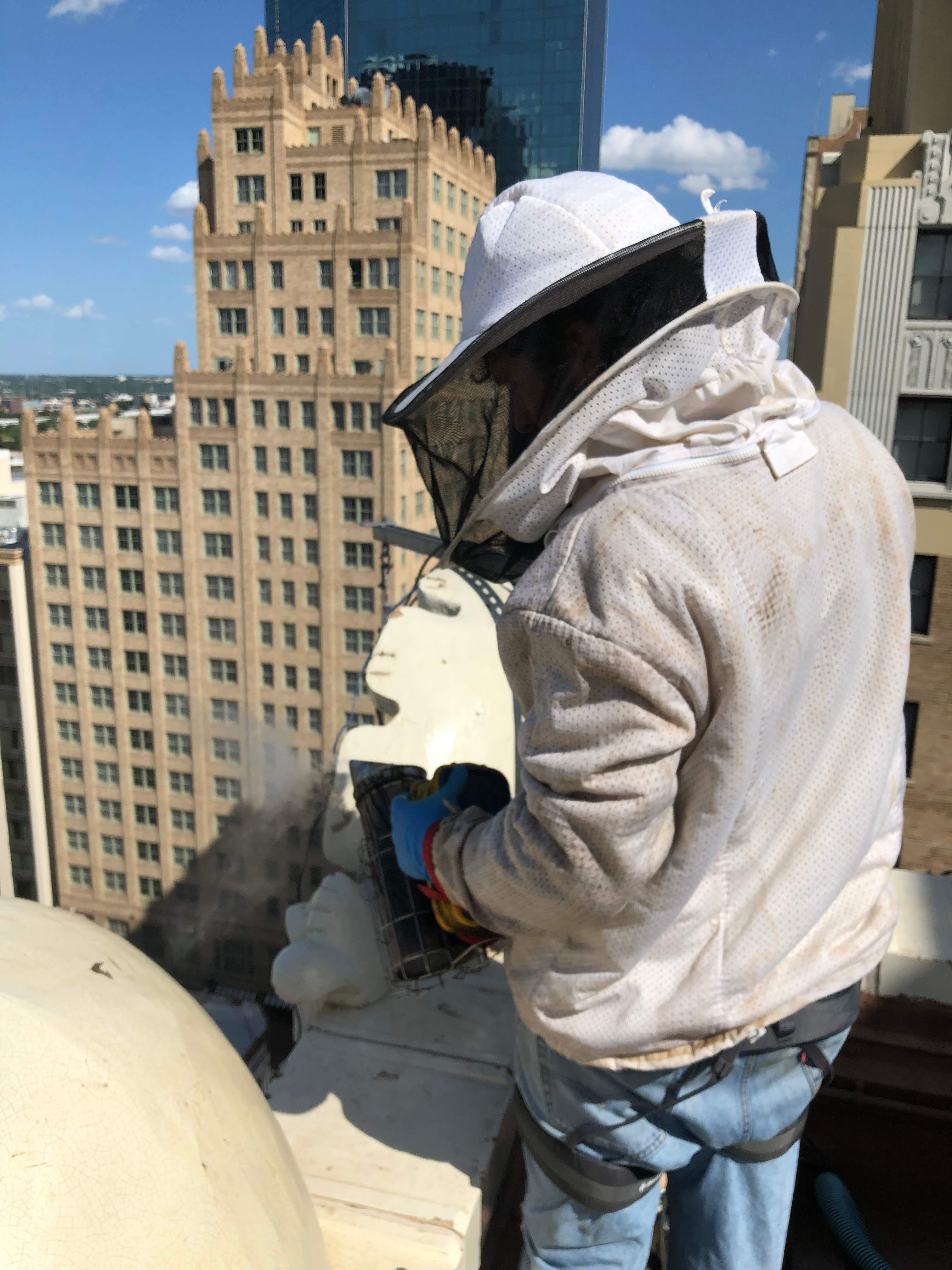 Downtown Highrise by Rockwall Honey Bee Company