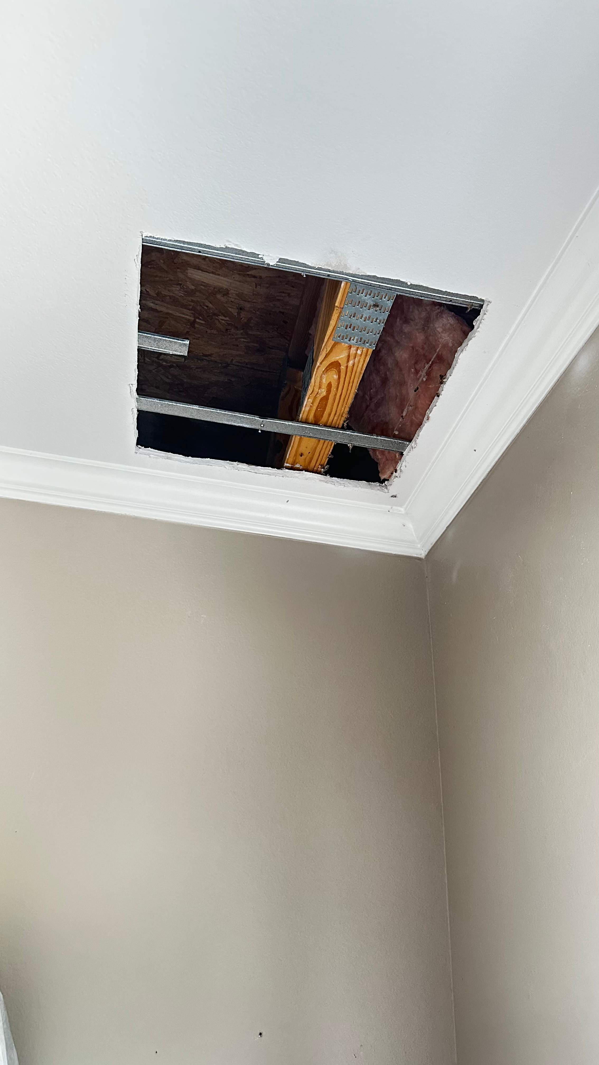 Hiding Bees by Rockwall Honey Bee Company