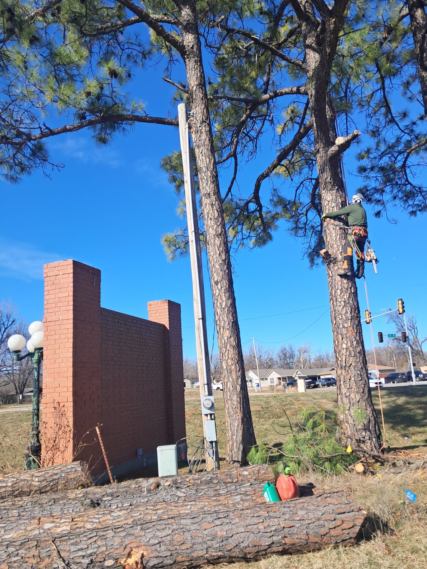 Pine Removals by Clays Services Inc