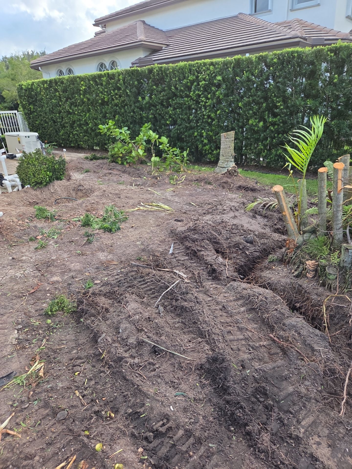 Hammock Creek Estate | Phase 1 – The Art of Precision Removal by Alpha Zeta Enterprises Inc