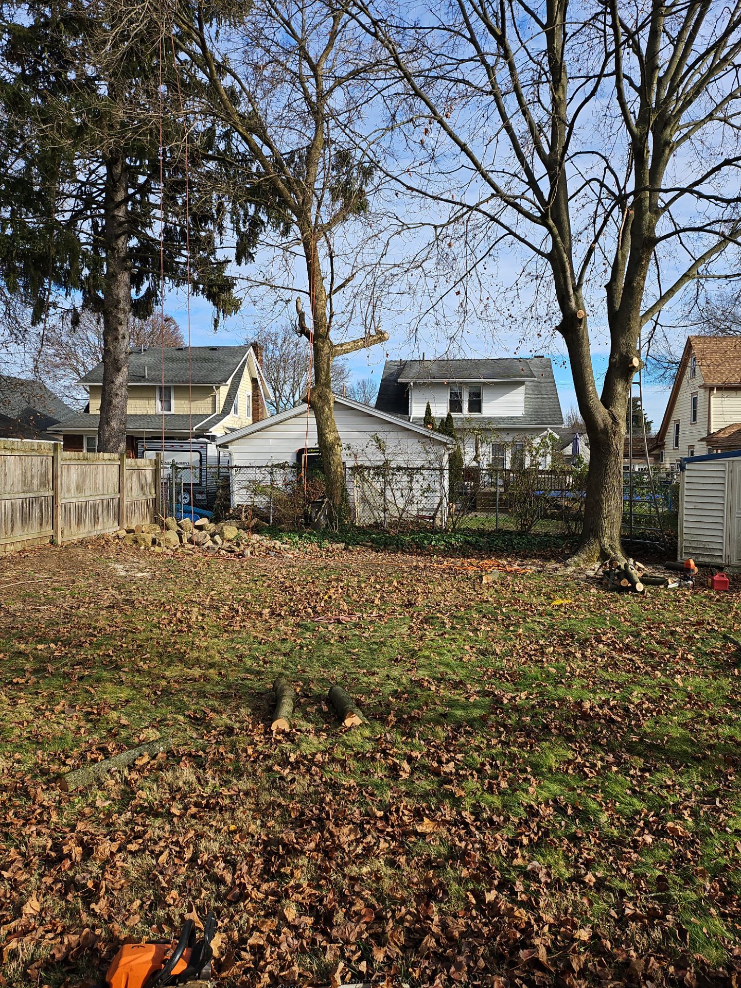 Tree Trimming using Tree Pruing by Mike Jones & Sons Tree Service LLC 