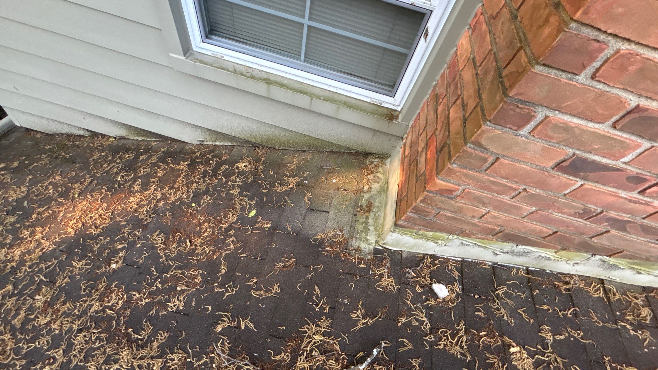 Roof Replacement using Owens Corning Teak by 180 Contractors