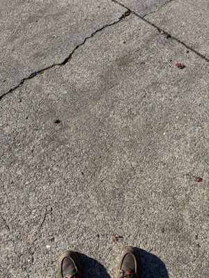 Project in Emeryville