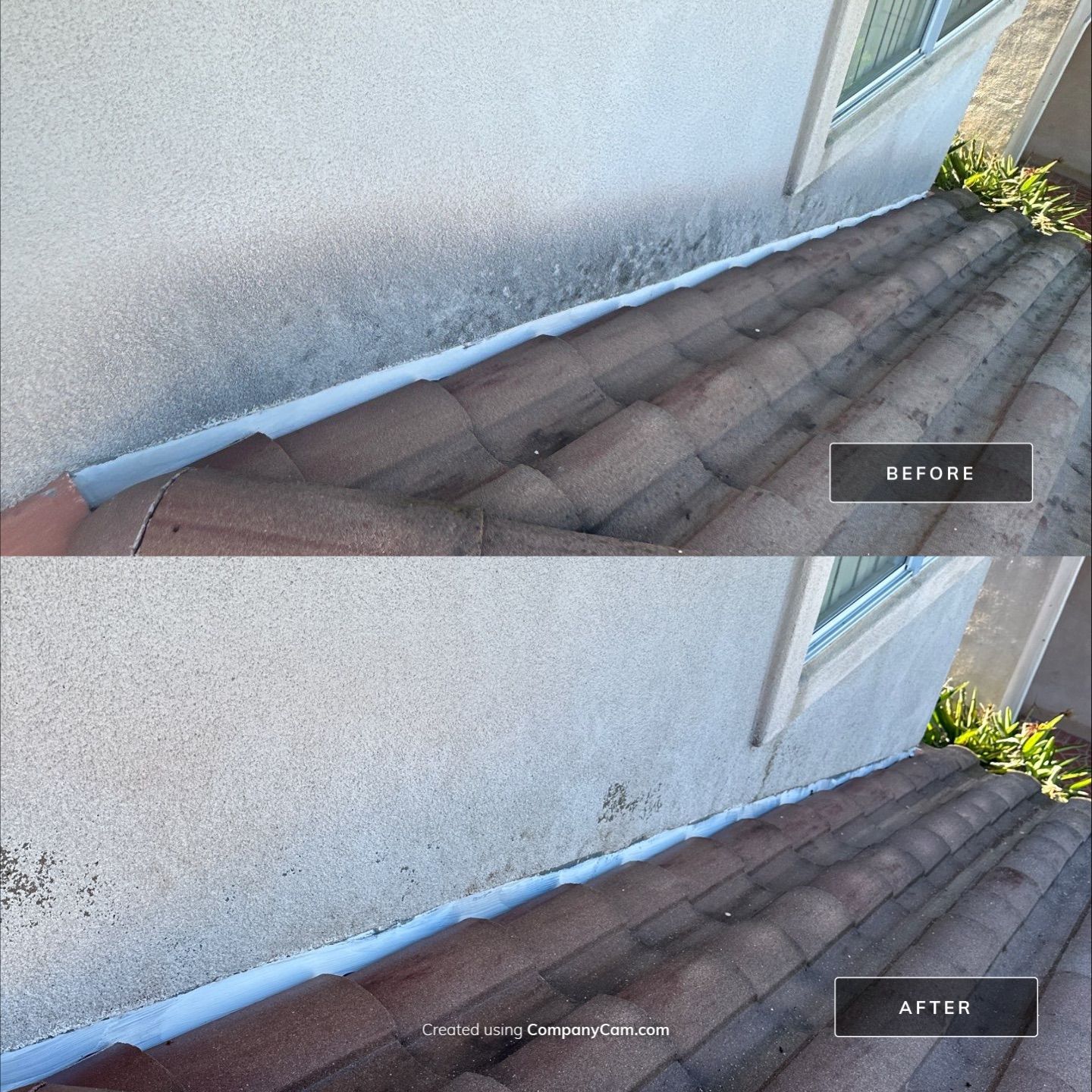 This home was COVERED in growth by Property Cleaning Experts, LLC