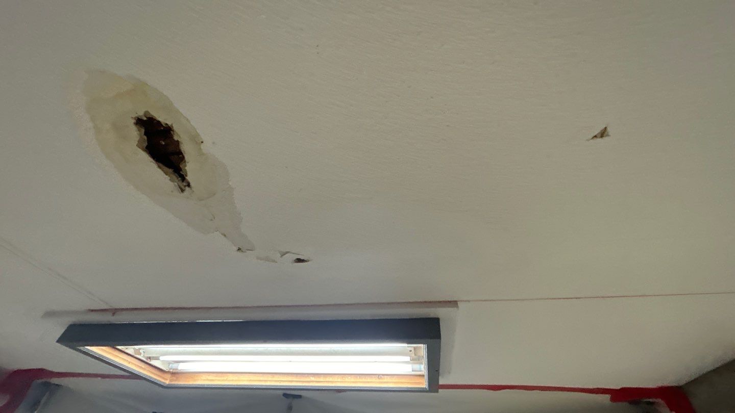 Water Damage Project in Arvada by Accountable Home Services