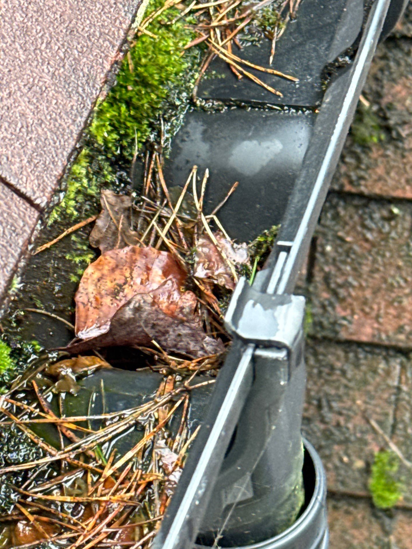 Roof - Driveway - Patio Clean using 18inch Whirlaway FSC by Ges Exterior Cleaning ltd