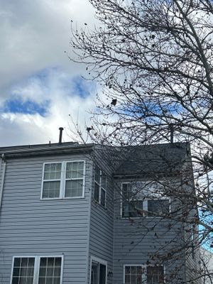 Sterling: Residential Roof Replacement with CertainTeed Landmark Pro in Max Def Driftwood