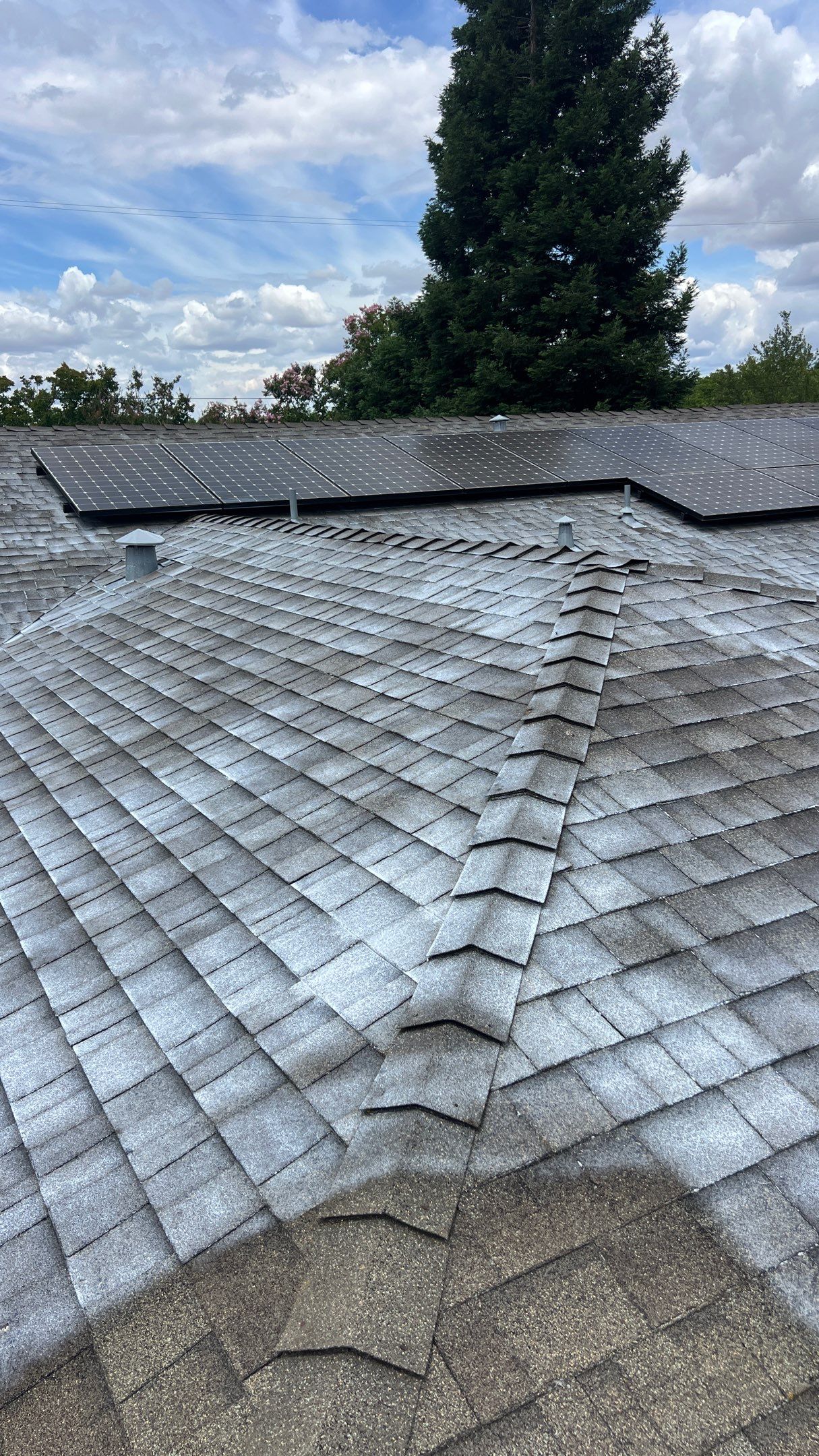Roof Rejuvenation using Roof Maxx Treatment by Roof Maxx of Folsom