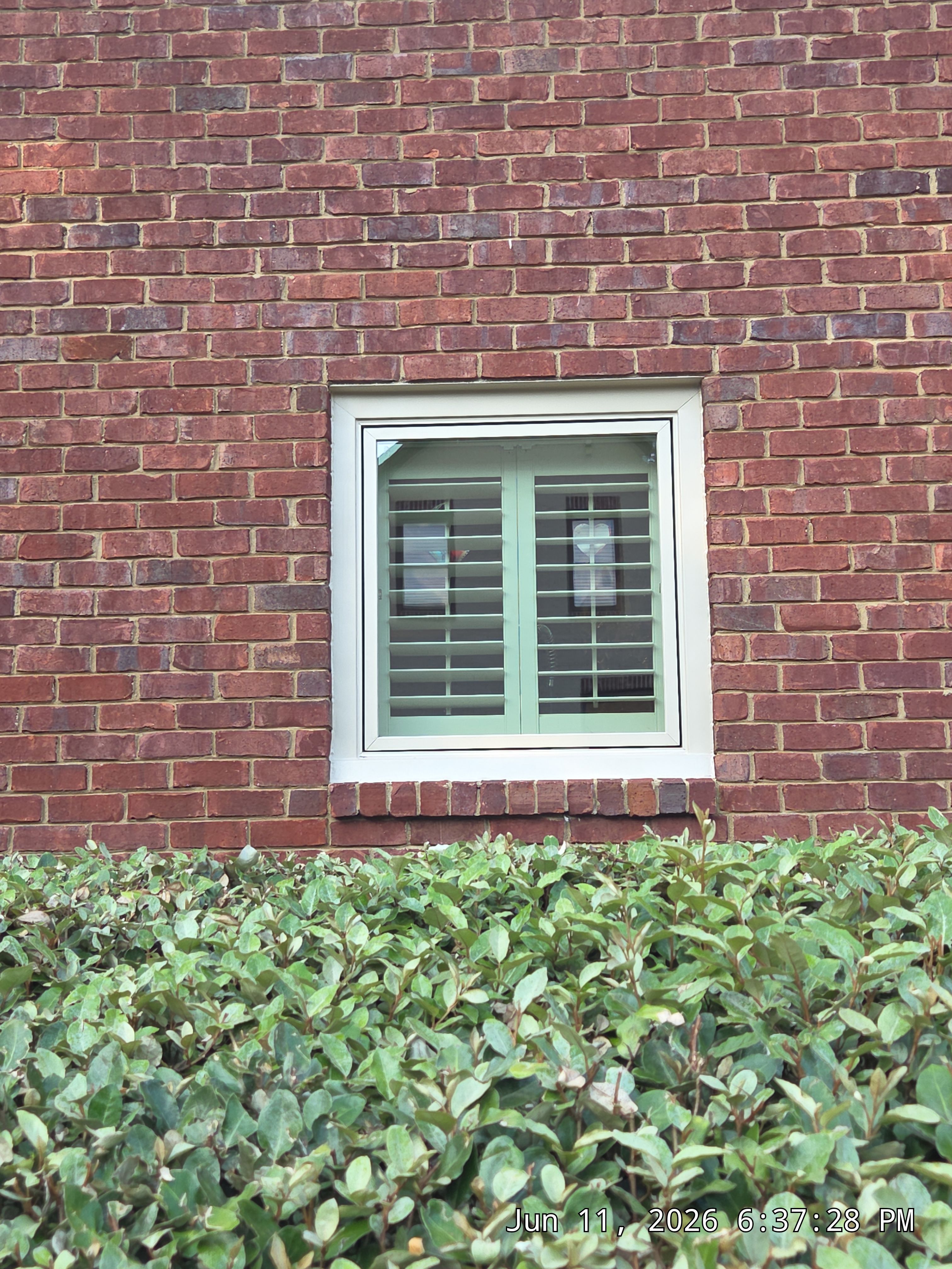 Zwiebel Project in Hoover by The Window Source
