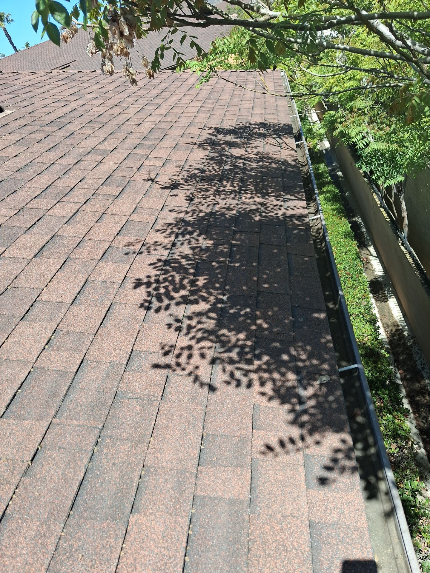 HOA gutter cleaning after photo.