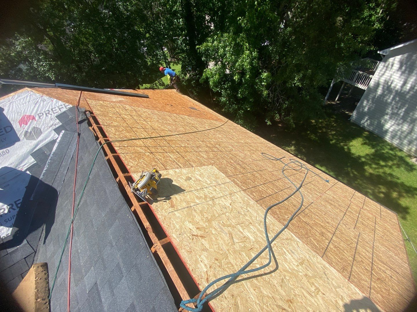 Rotten Wood by Roof Bullies