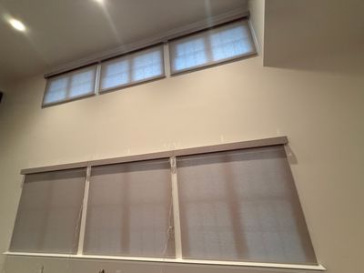 Project in Leonardtown