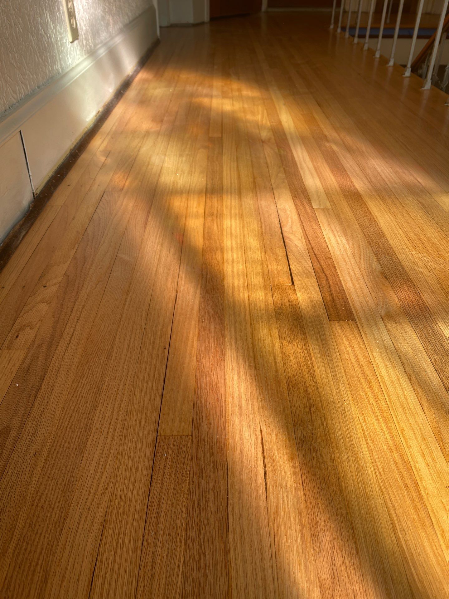 Historic Hardwood floor restoration  by Ann Arbor Hardwoods 
