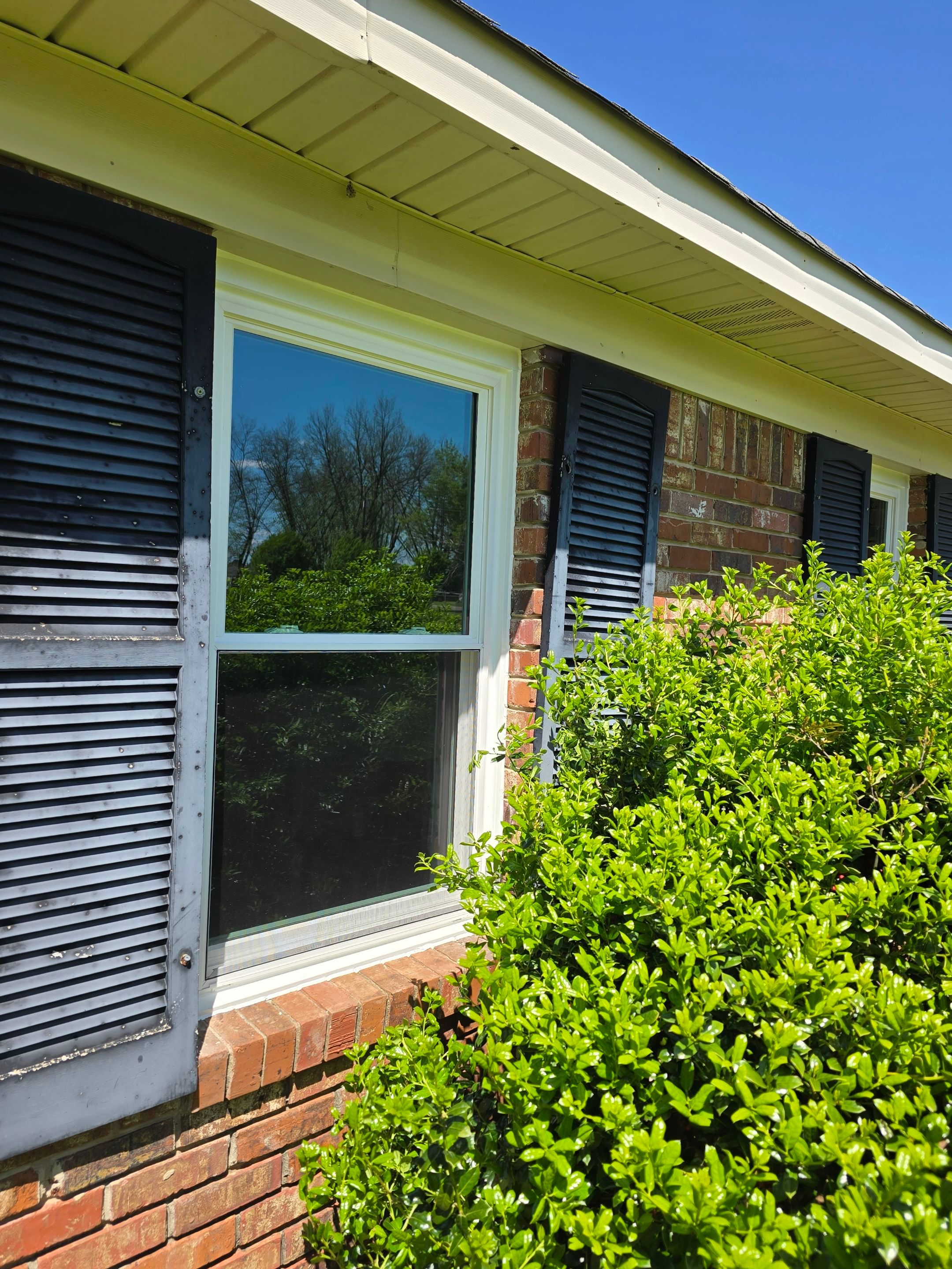 Boyd Project in Tuscaloosa  by The Window Source