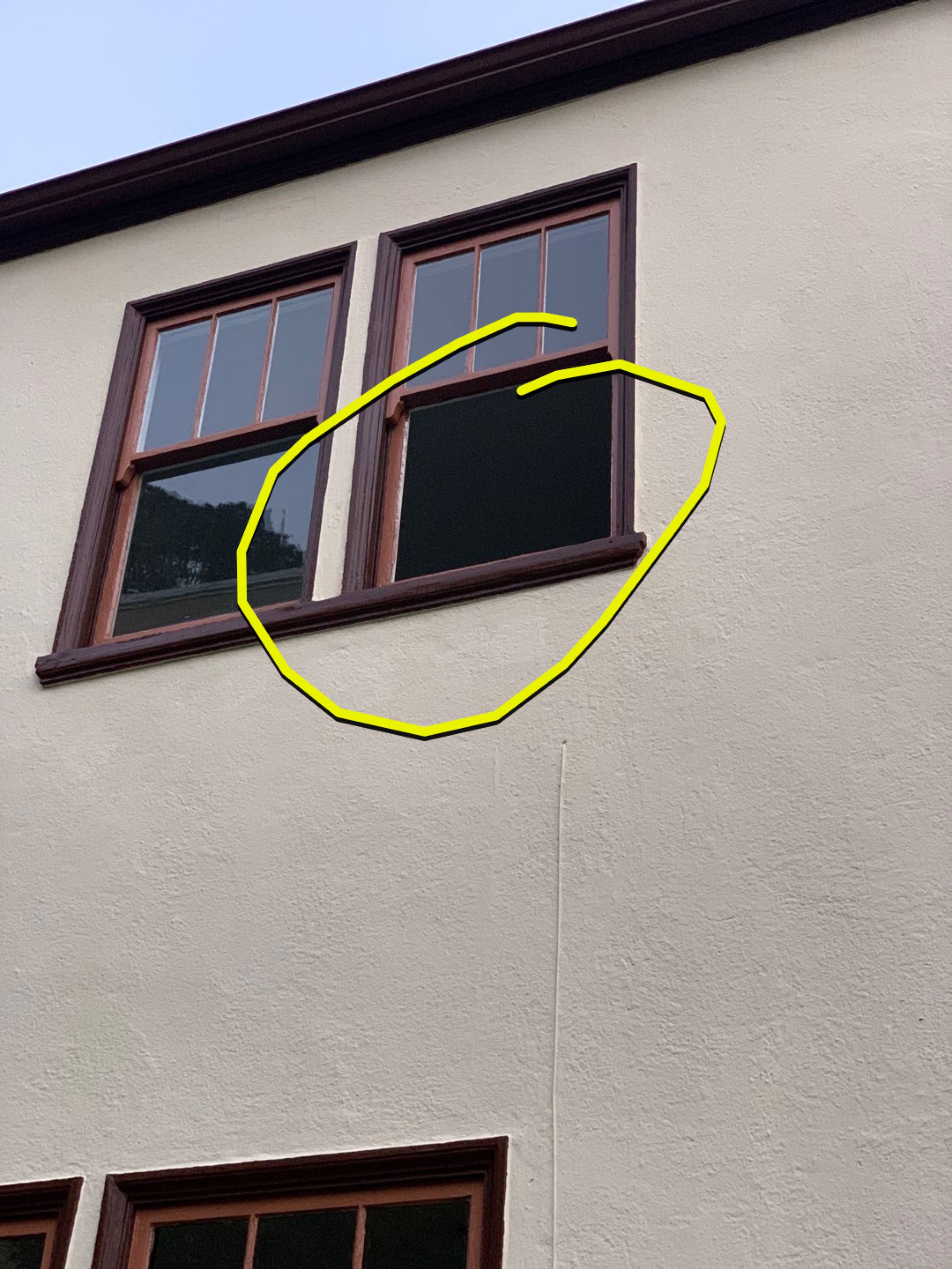 Priscilla Rodrigues by SpotFree Window Cleaning