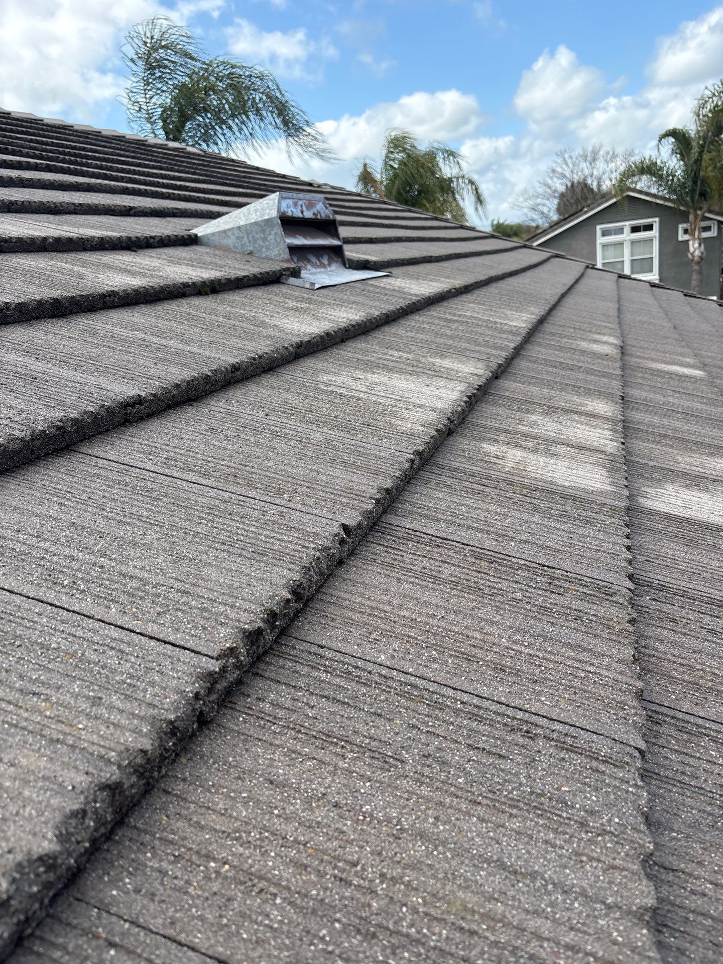 Moss Removal by Top Elevation