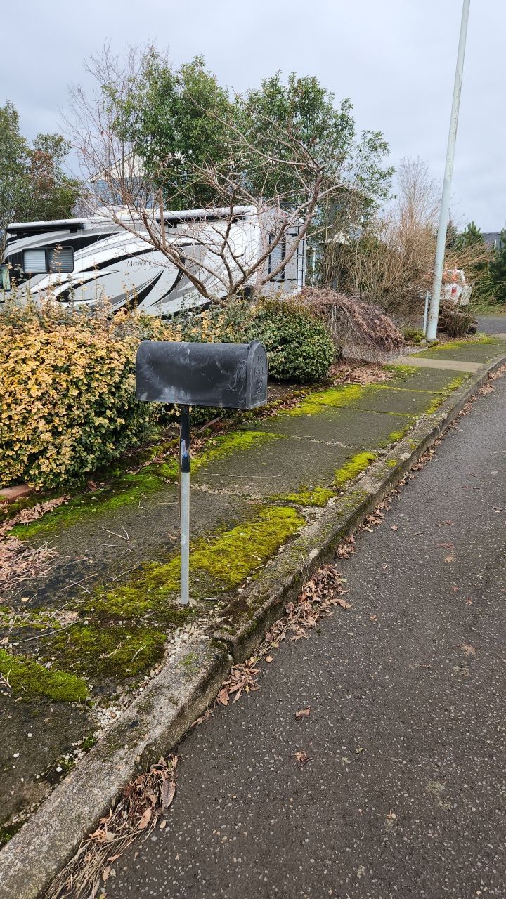 Concrete wash using Biocide by Willamette Outdoor Wash LLC