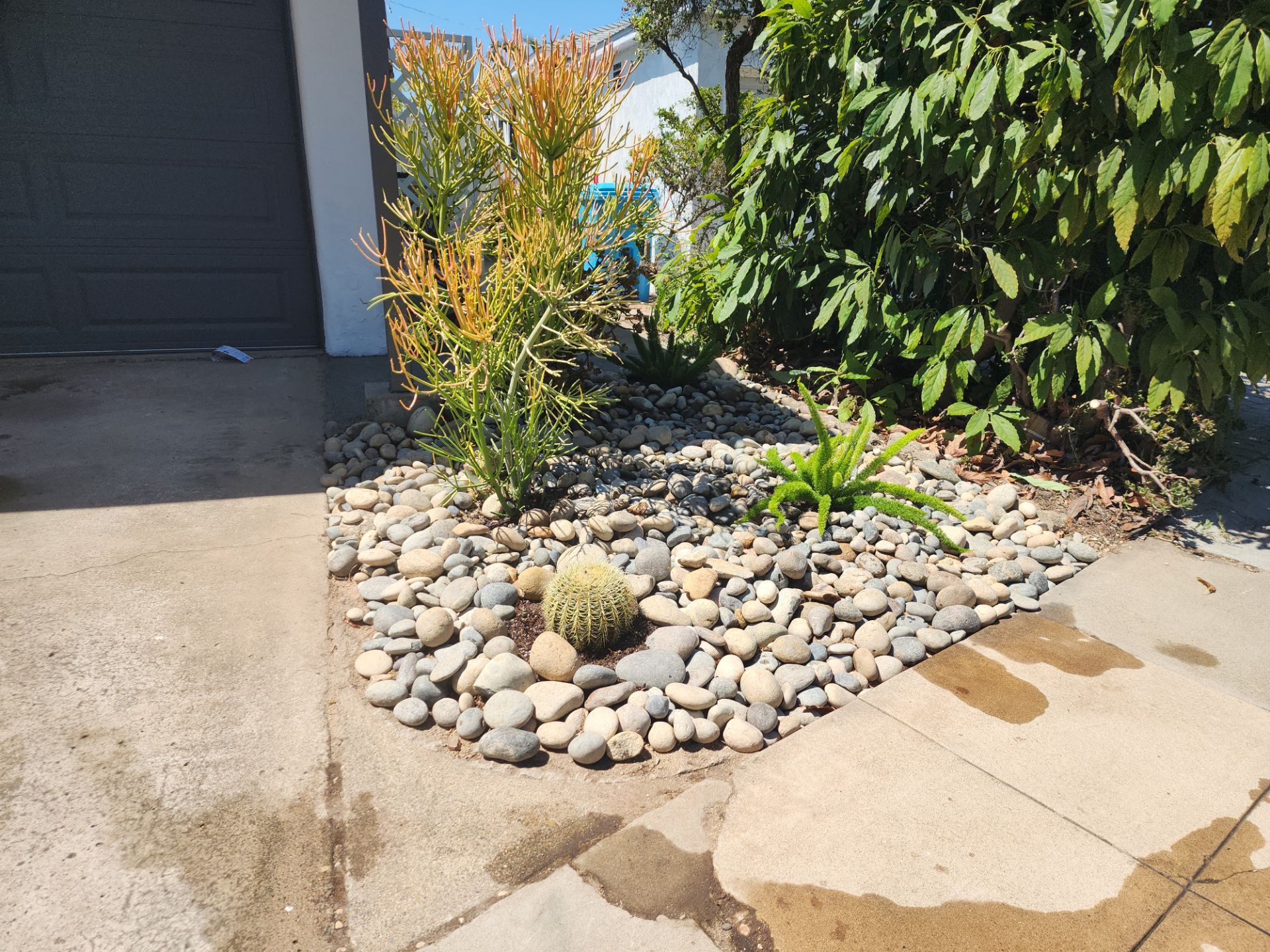 Xeriscape Transformation with River Rock and Irrigation in San Diego by Yard Techs