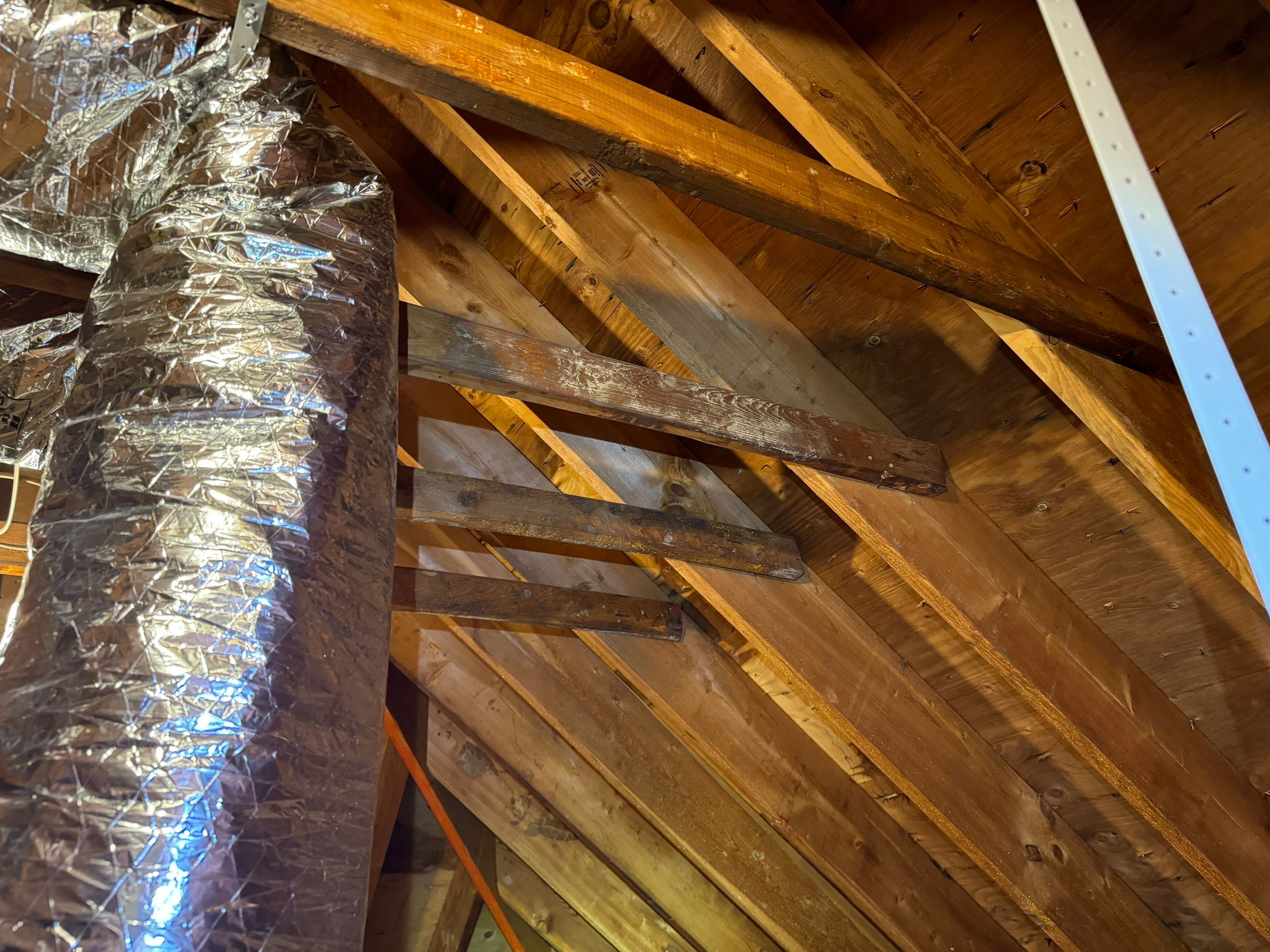 Bathroom Mold Remediation by Home Guarantee, LLC