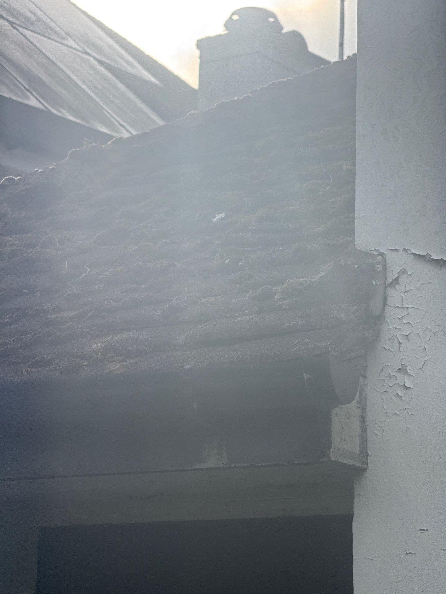 Roof Clean  - Moss Removal - Gutter Clean using Honda 15lpm Low Pressure Washing Machine by Ges Exterior Cleaning ltd