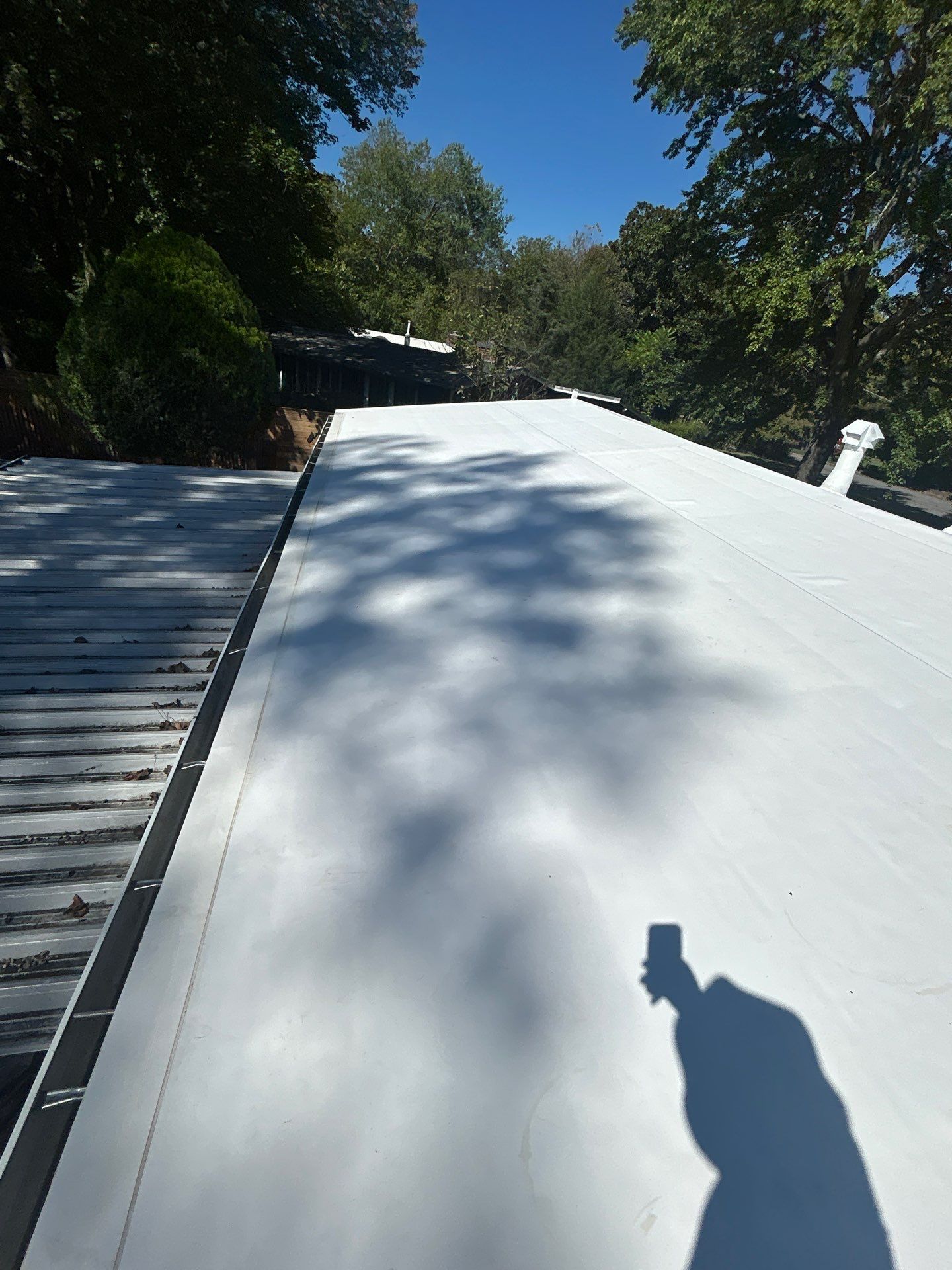 Falls Church :  TPO by RM Banning, Inc.