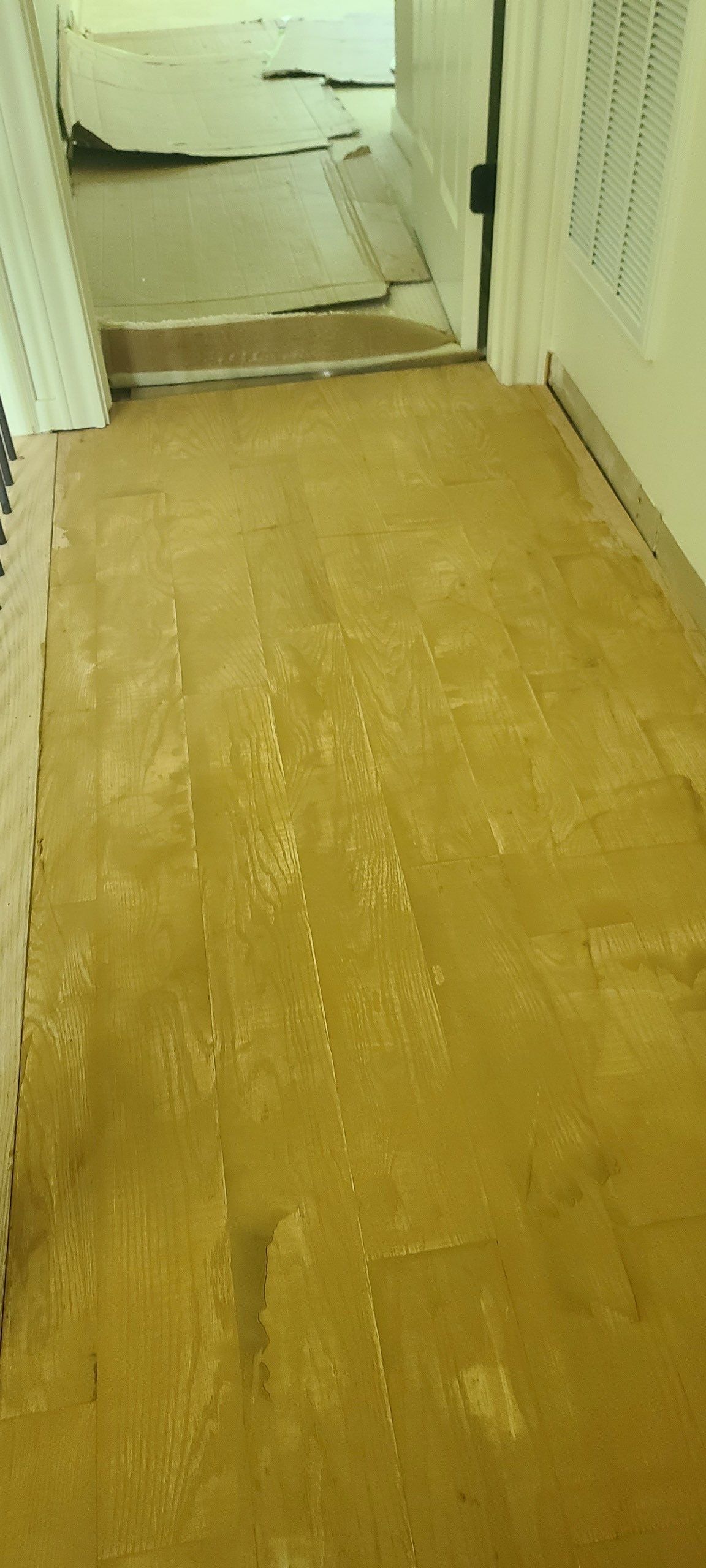 The Napolitano Family by SophAlx LLC