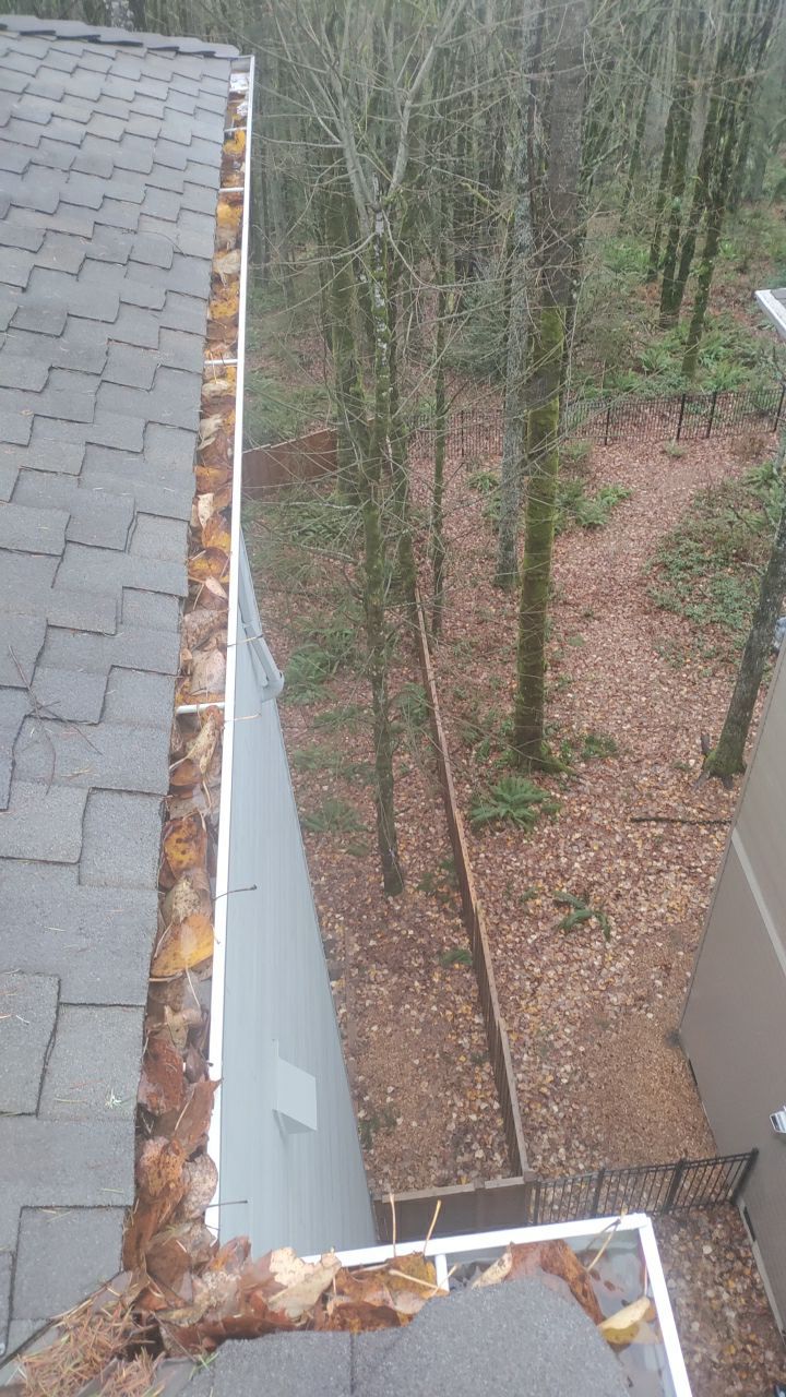 Gutter Cleaning by Paul Schopp