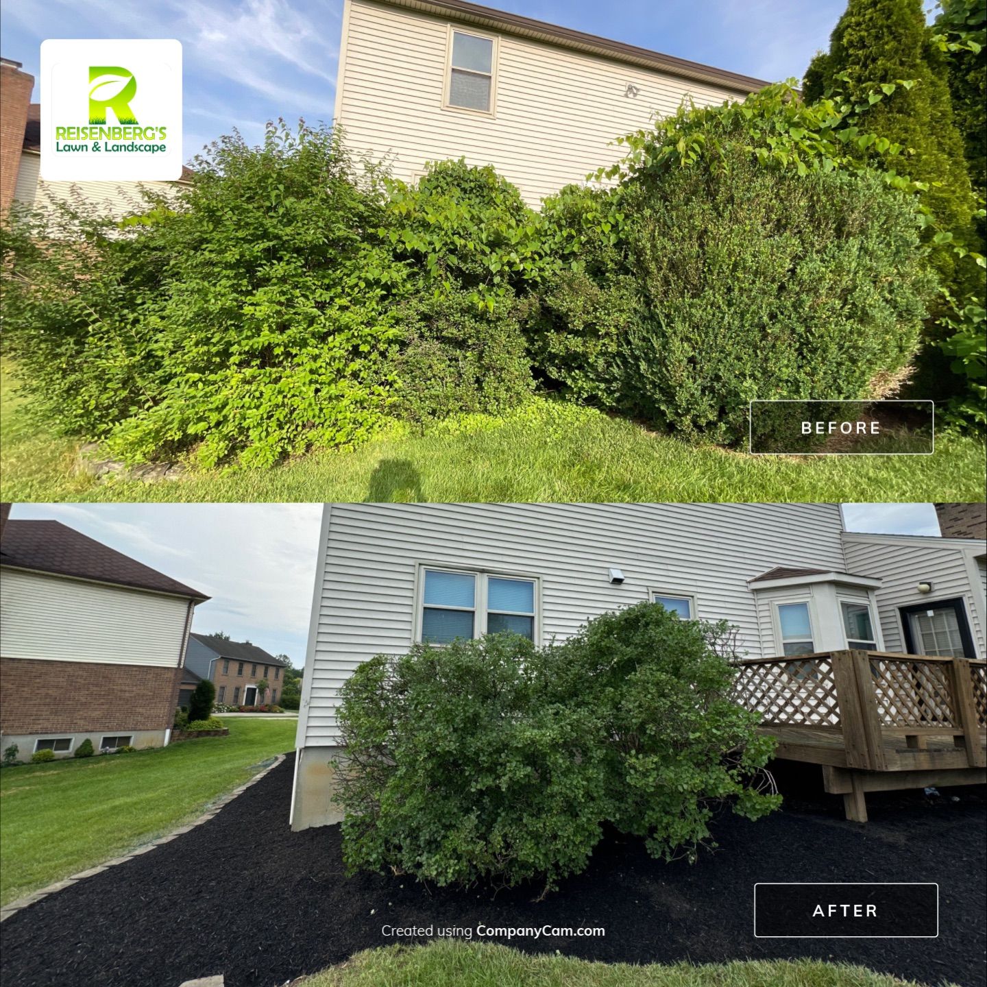 Complete Tear Out of Overgrown Landscape by Reisenberg’s Lawn & Landscape, LLC