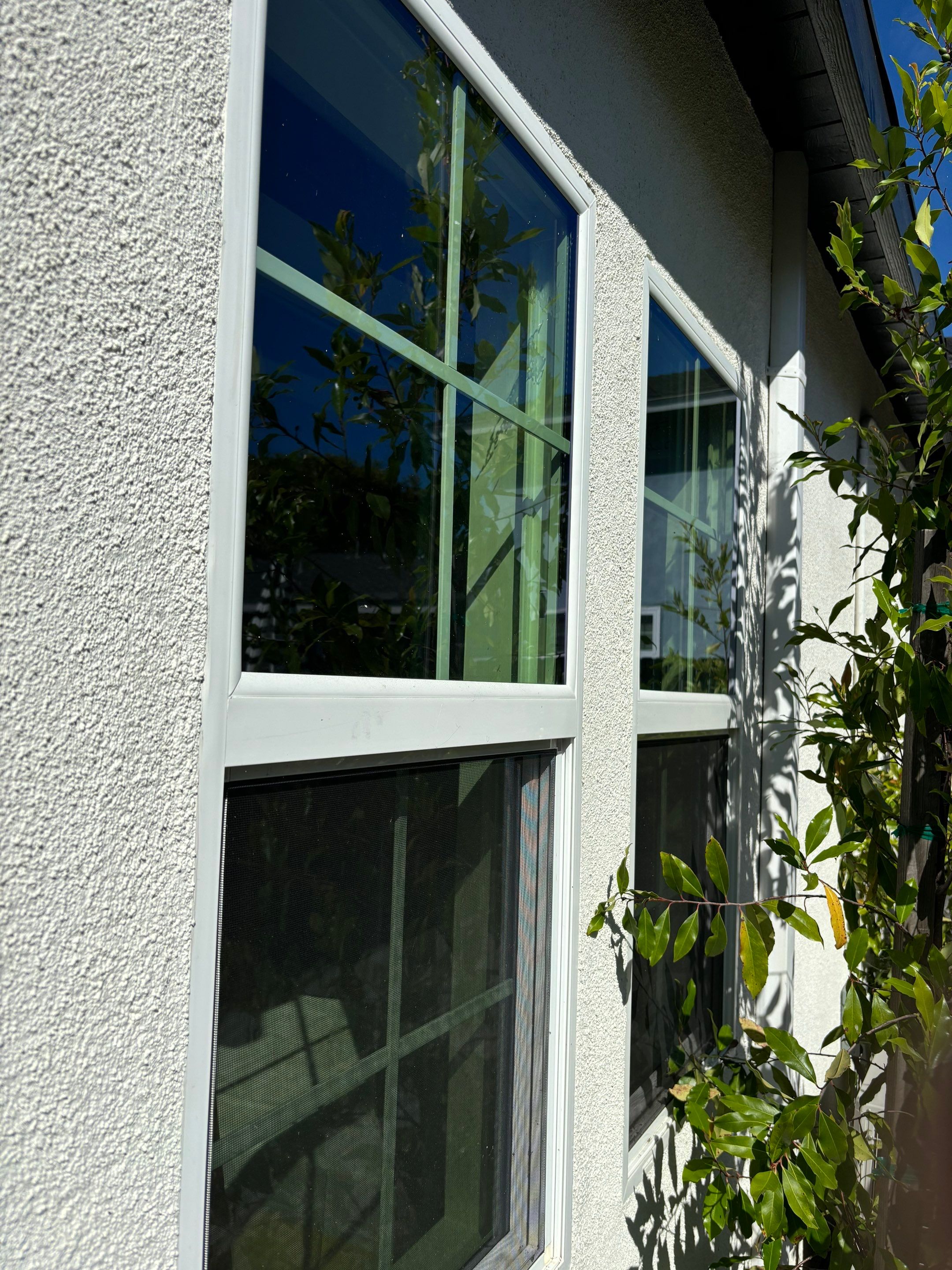 Window Cleaning by Pirate Pete’s Power Washing