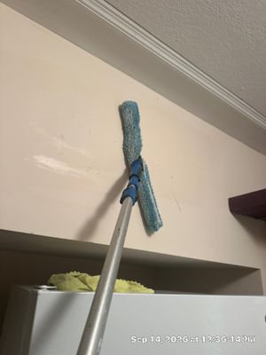 Wet Carpet Drying — Cape Coral, FL