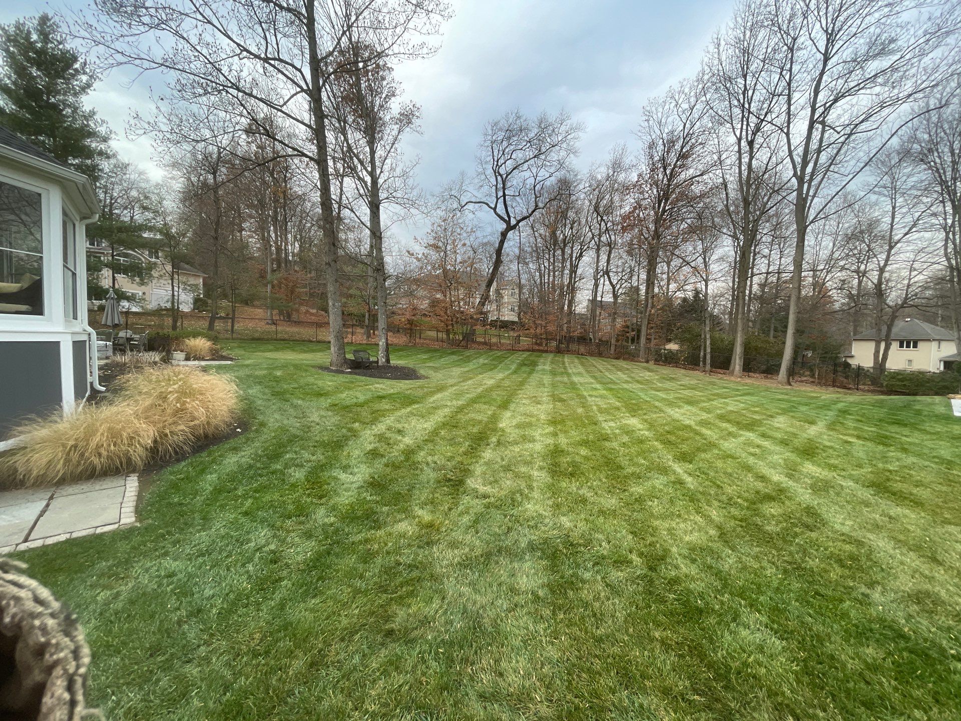 Comprehensive Lawn Care in Warren by Ants Plants