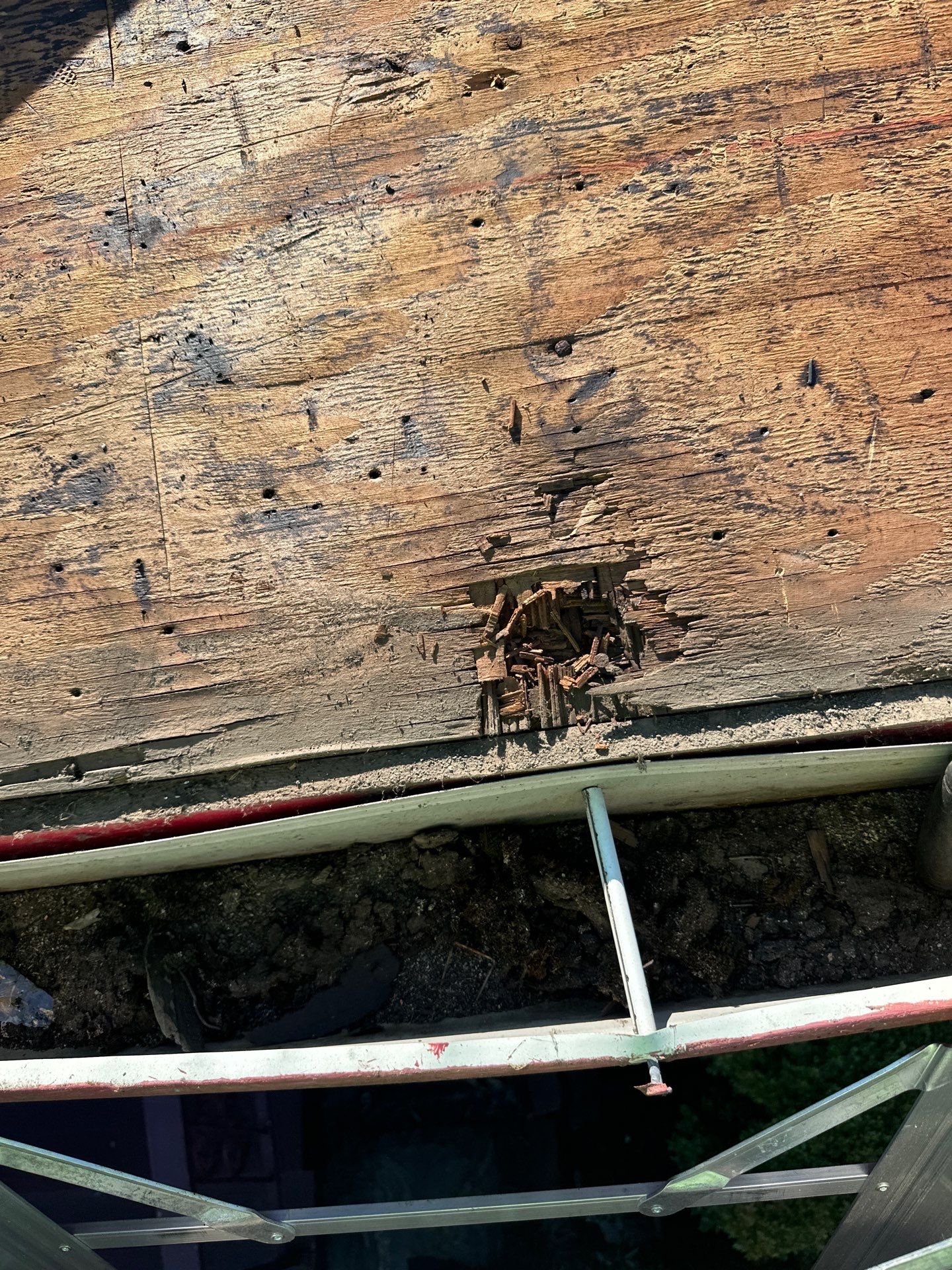 Lum Yun Salem Oregon Commercial Roof Replacement  by Orezona Building & Roofing Company, Inc.