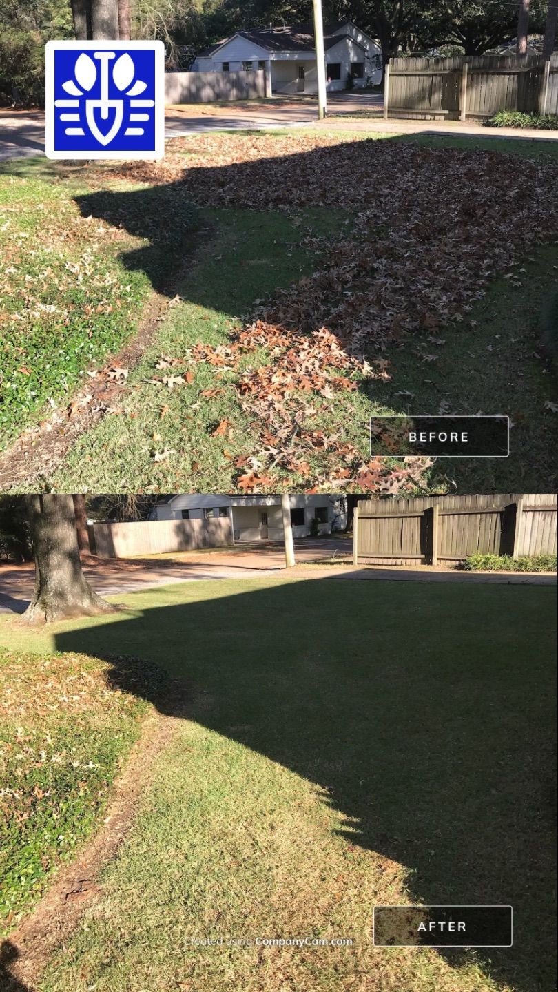 WINTER SERVICES: FULL LEAF JOB by CutScape, LLC.