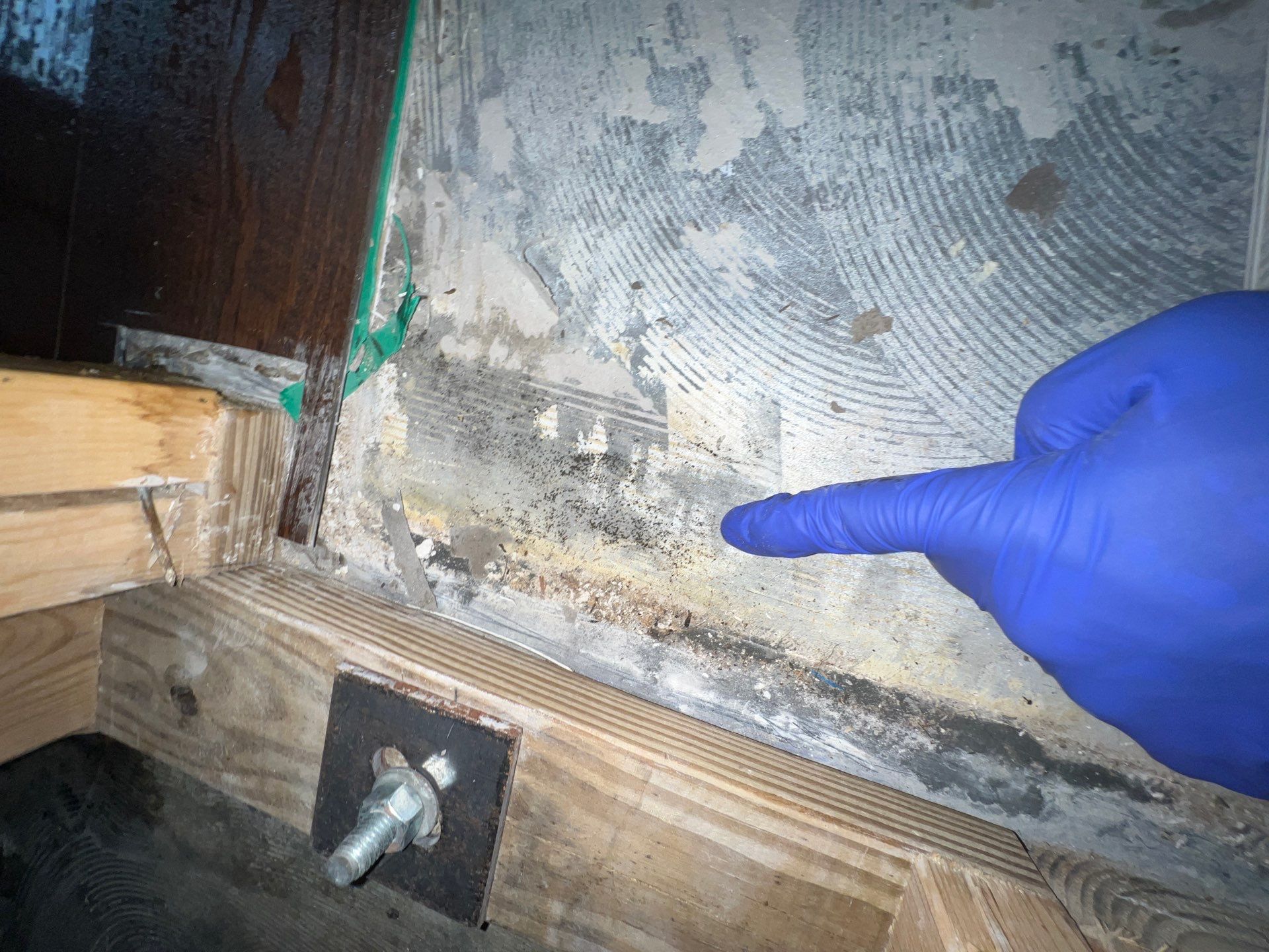 Stansell - water and mold photos  by THE RAPID TEAM