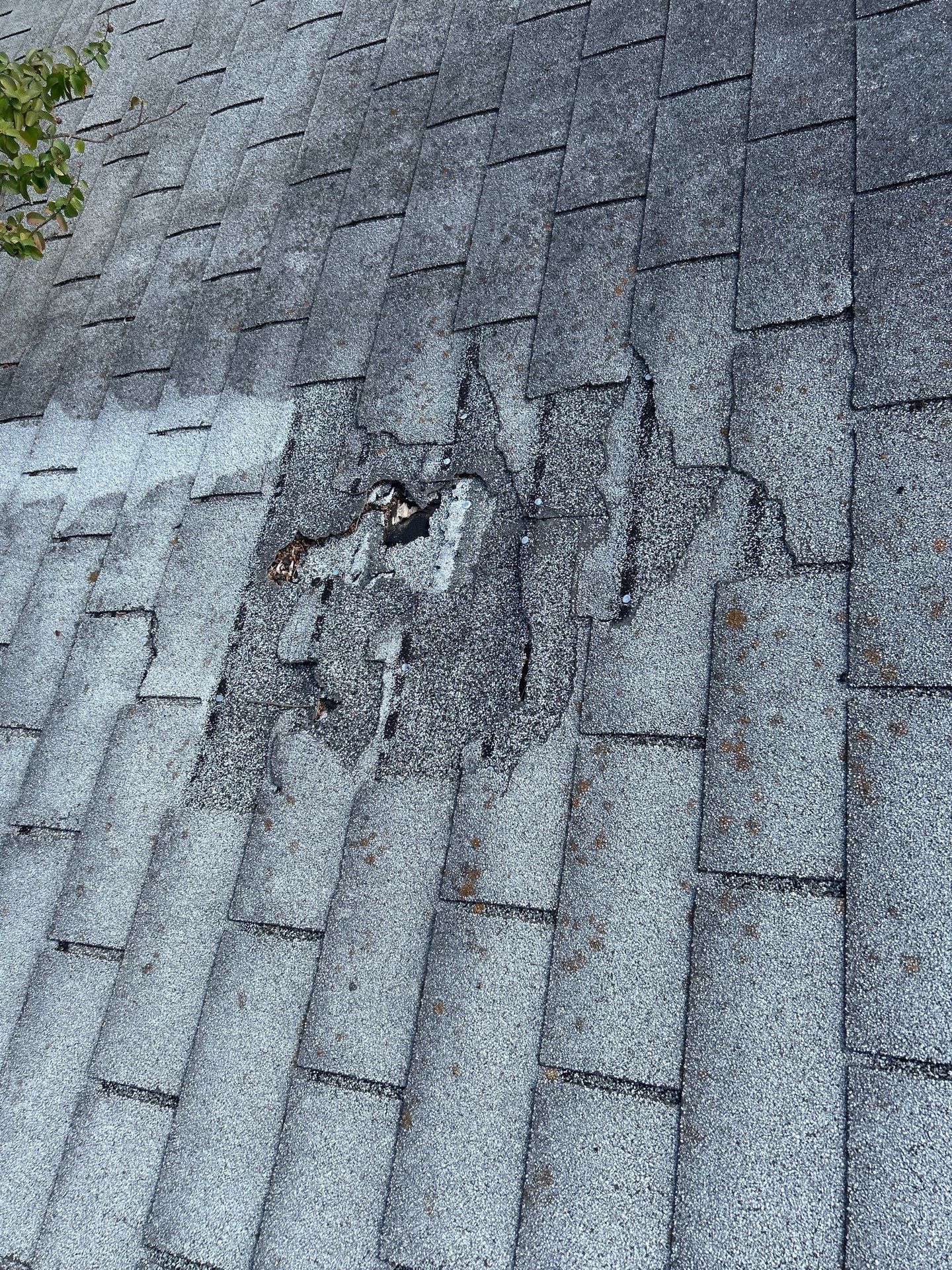 Project in Clifton by Rhino Roofing and General Contracting, LLC