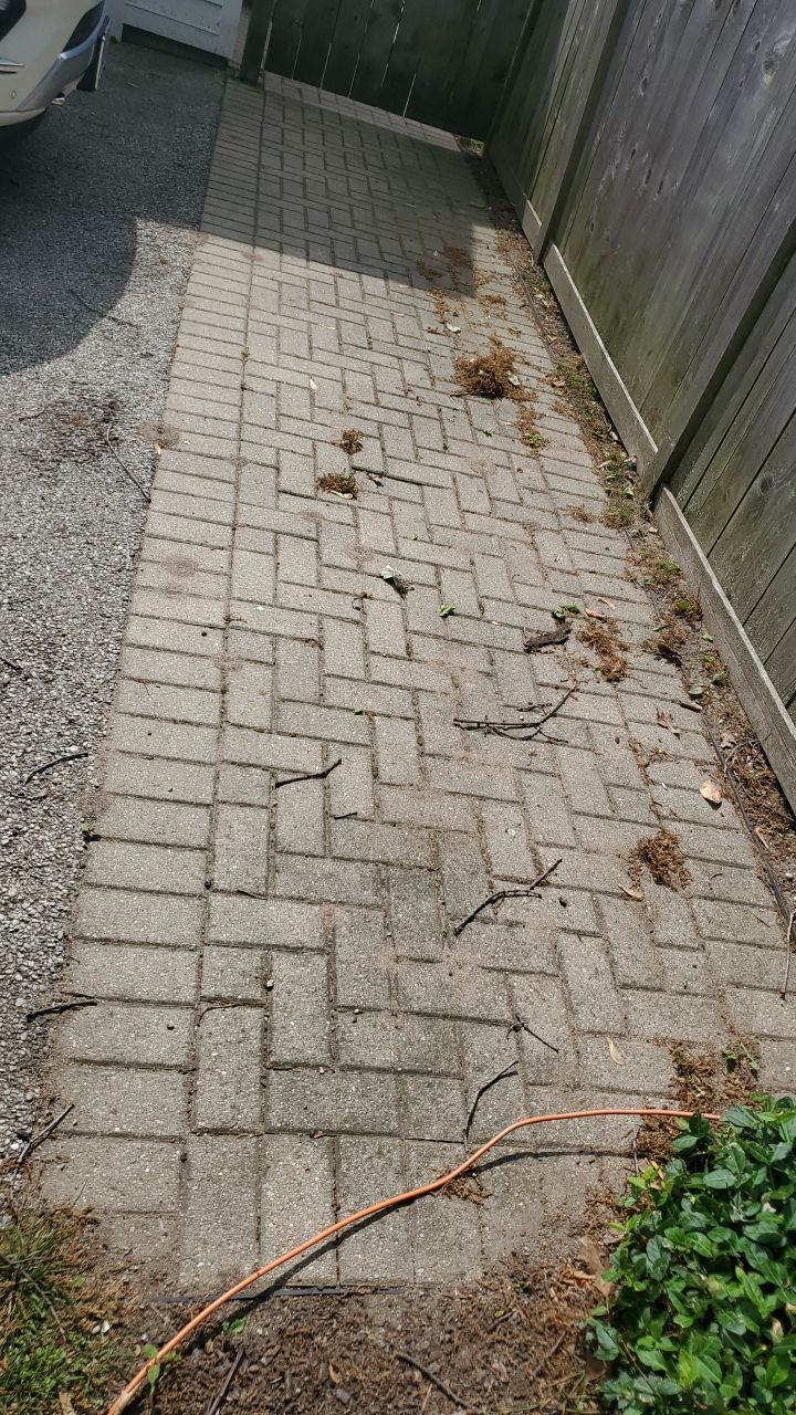 Brick patio repair, clean sand and seal by Northern Power Washing LLC.